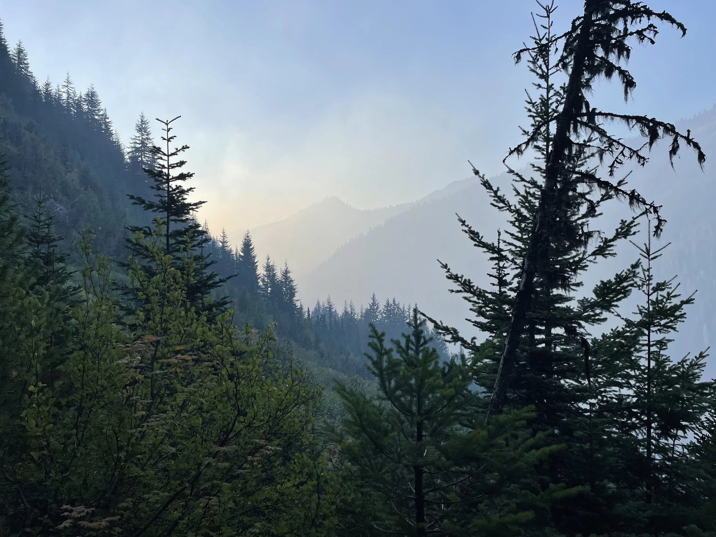 Wildfire smoke