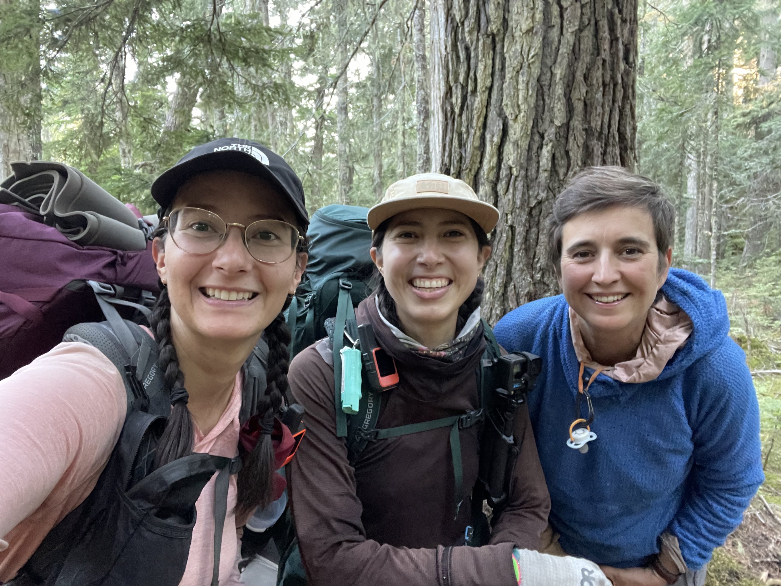 Saying goodbye to Ariel