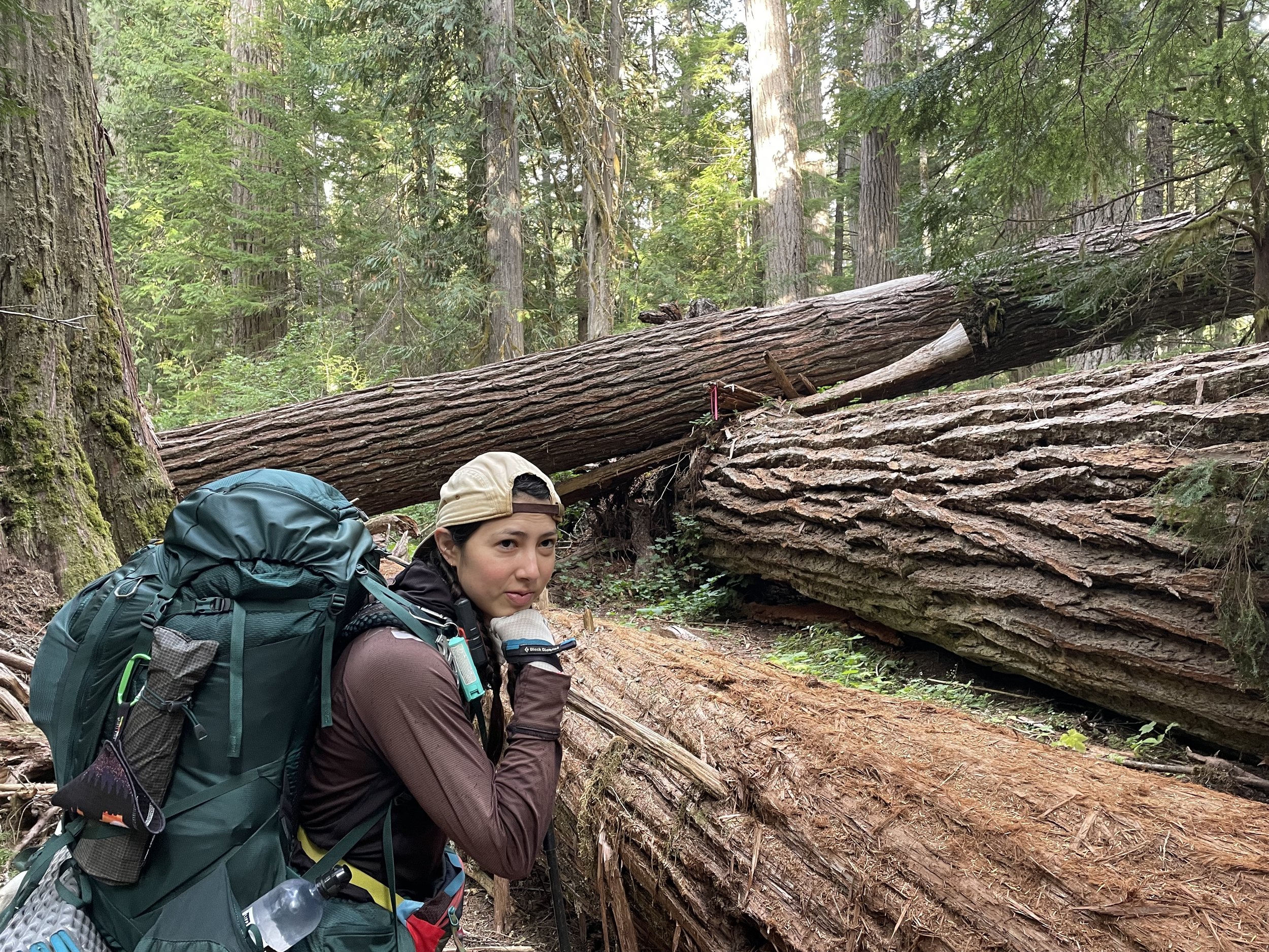 Unamused by the blowdown situation