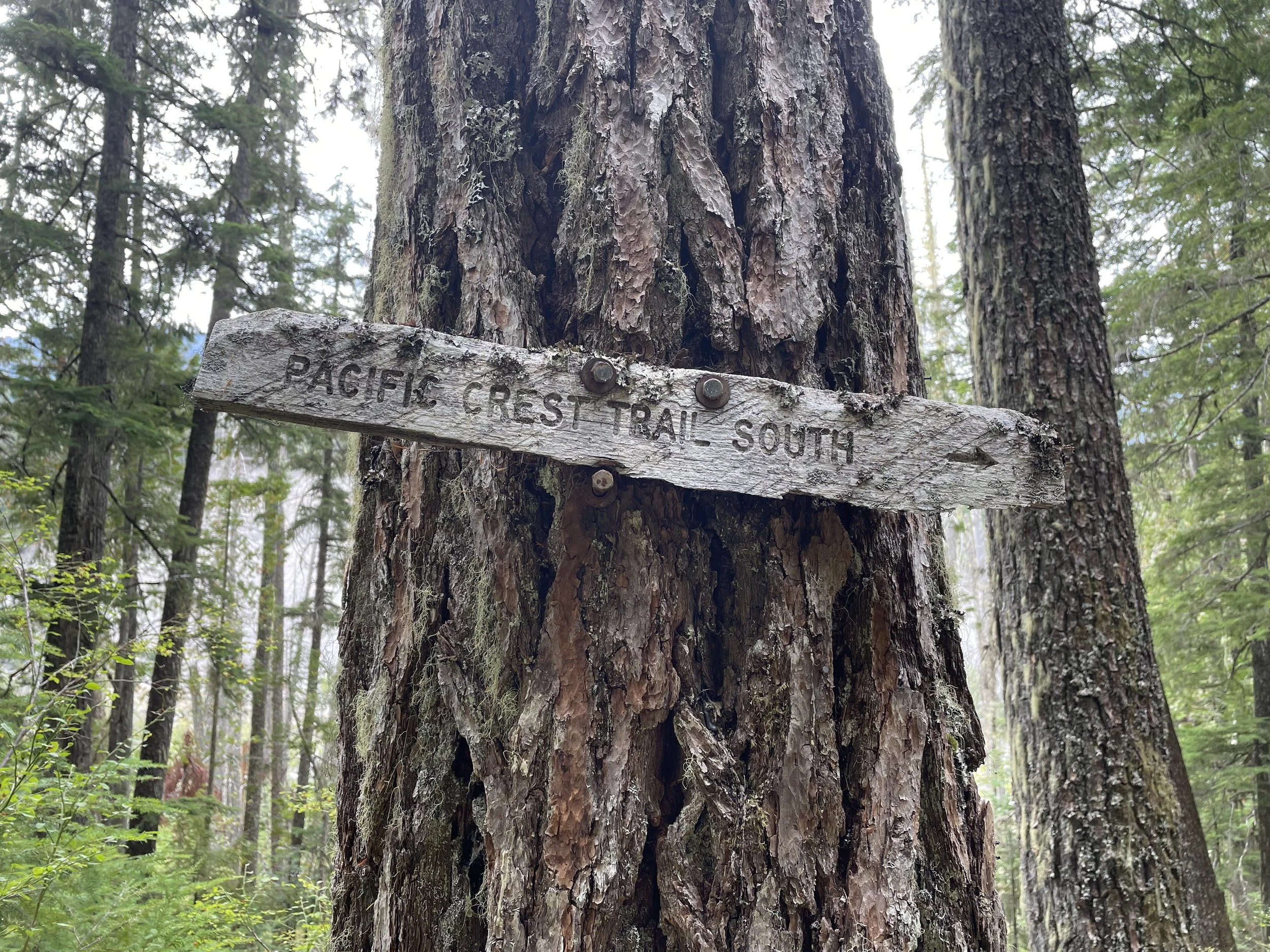 Old trail sign