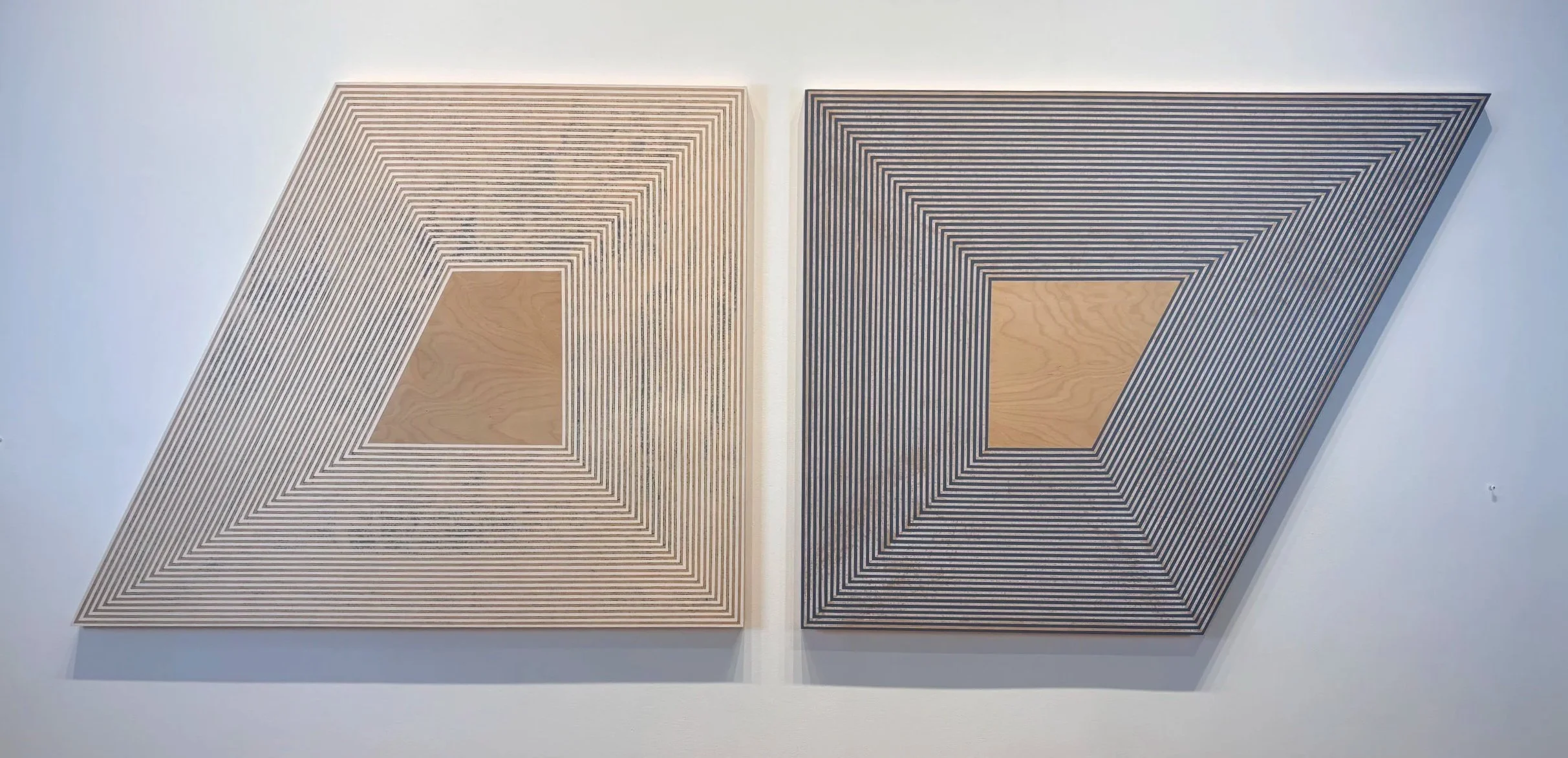 Irregularities no. 1 & no. 2 installation view