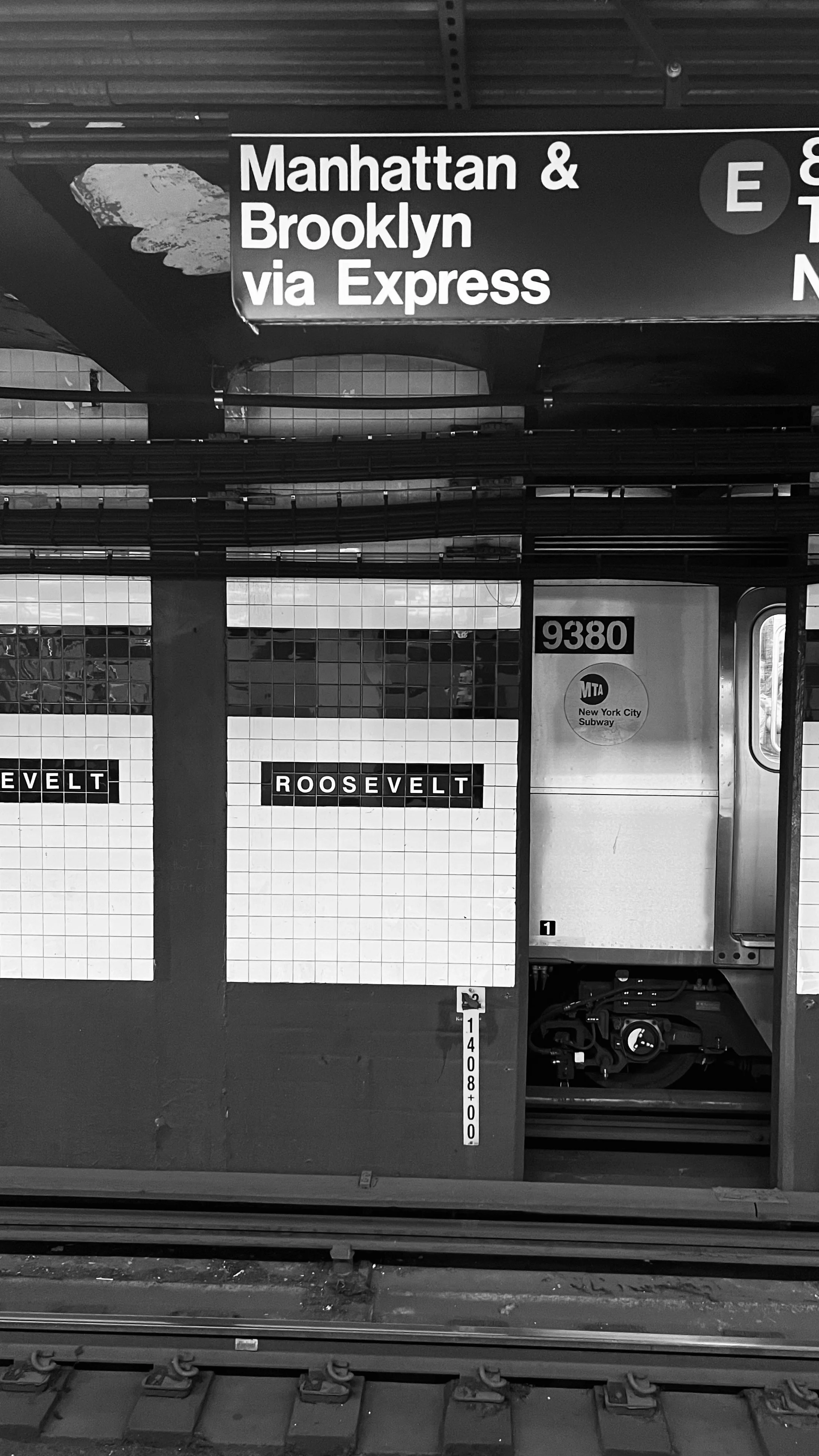 gallardo - nyc 9.jpg