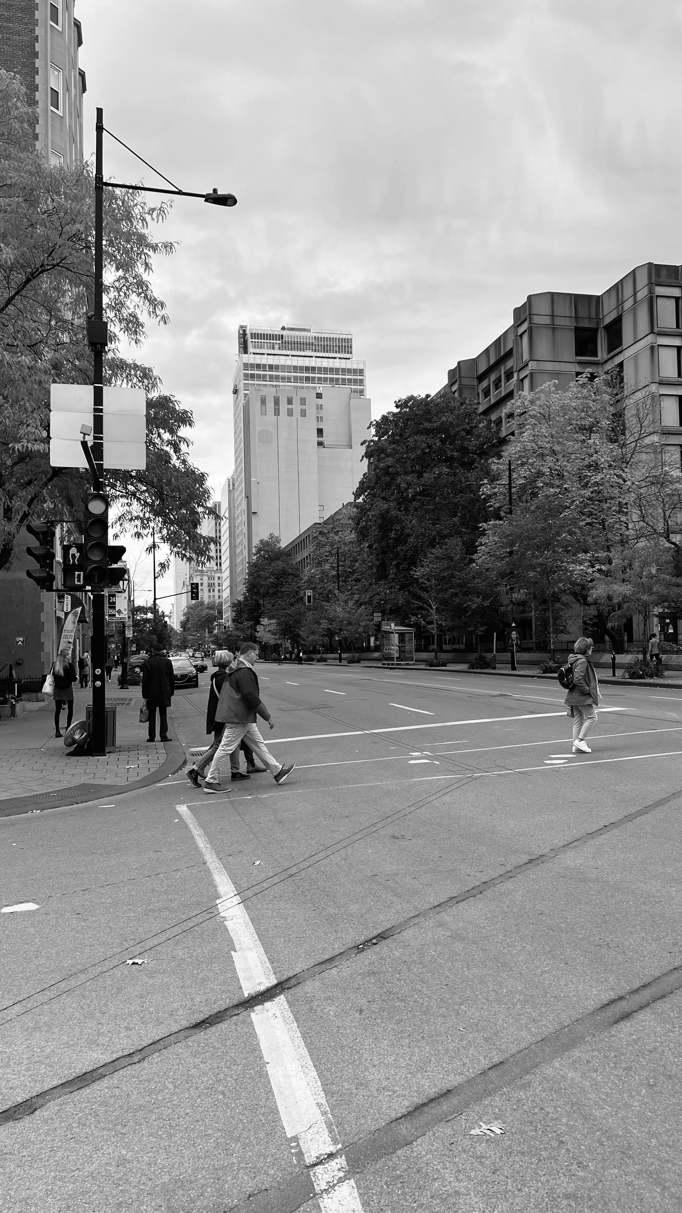 gallardo - Montreal 73.jpg