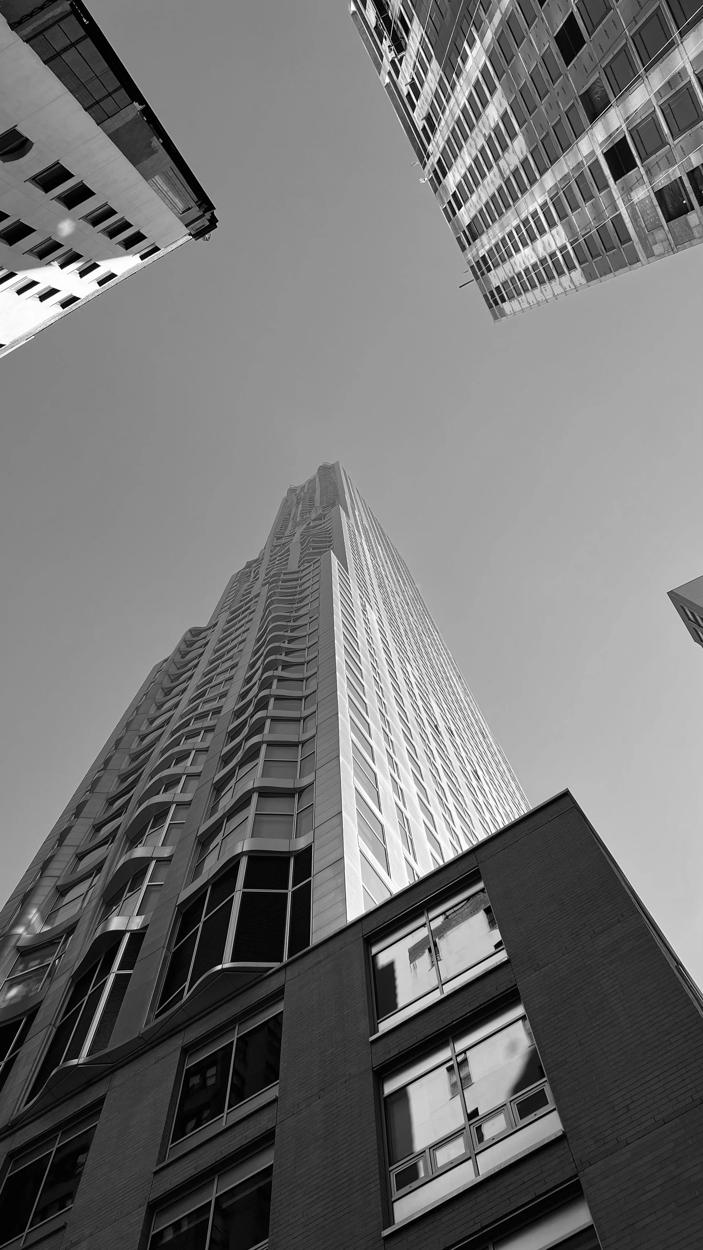 gallardo - nyc 63.jpeg