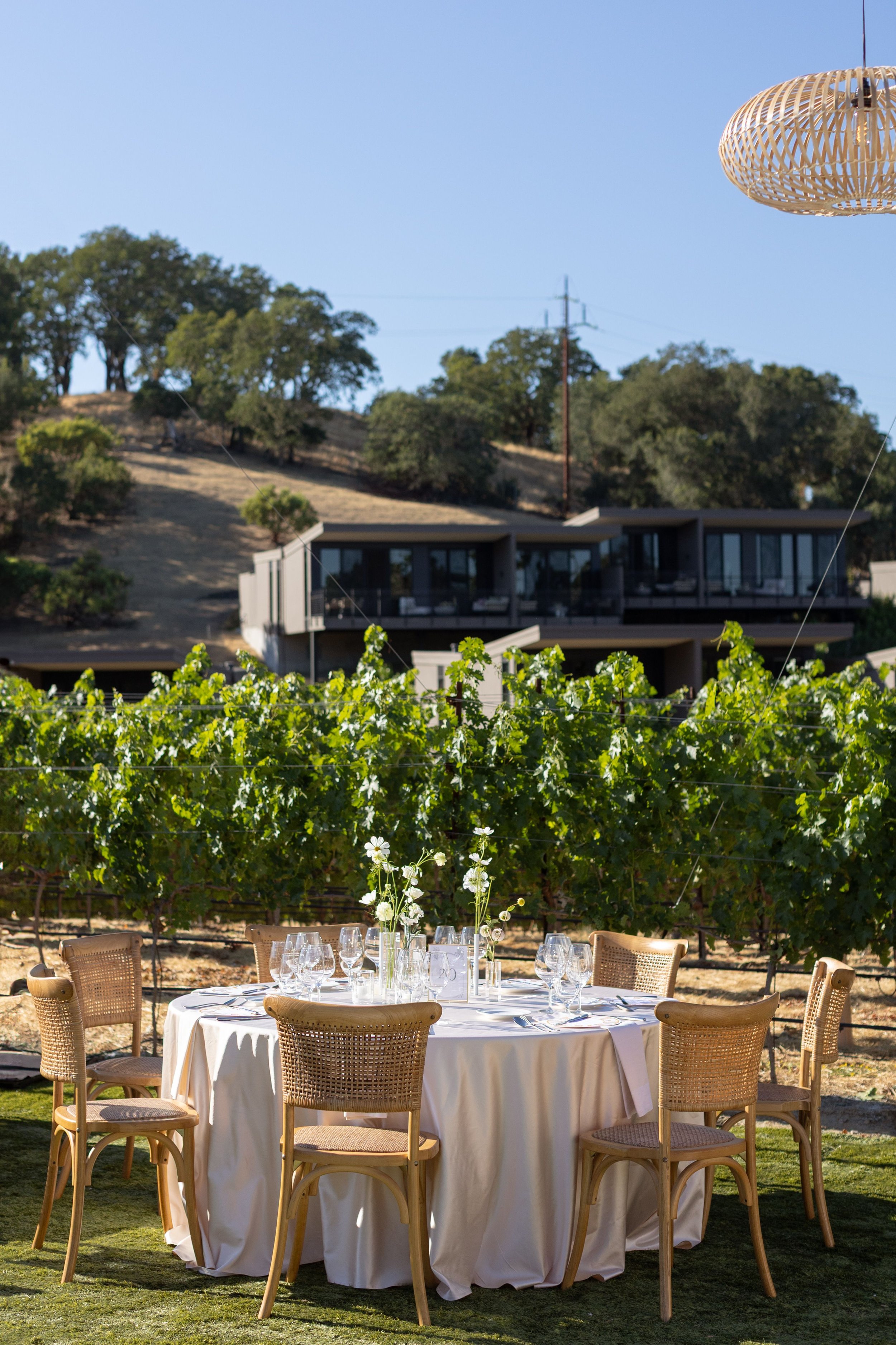 An outdoor dining setup with a round table covered with a white tablecloth, surrounded by wooden chairs. The table is set with wine glasses, plates, and floral centerpieces. In the background, there is a vineyard with green grapevines, modern house b
