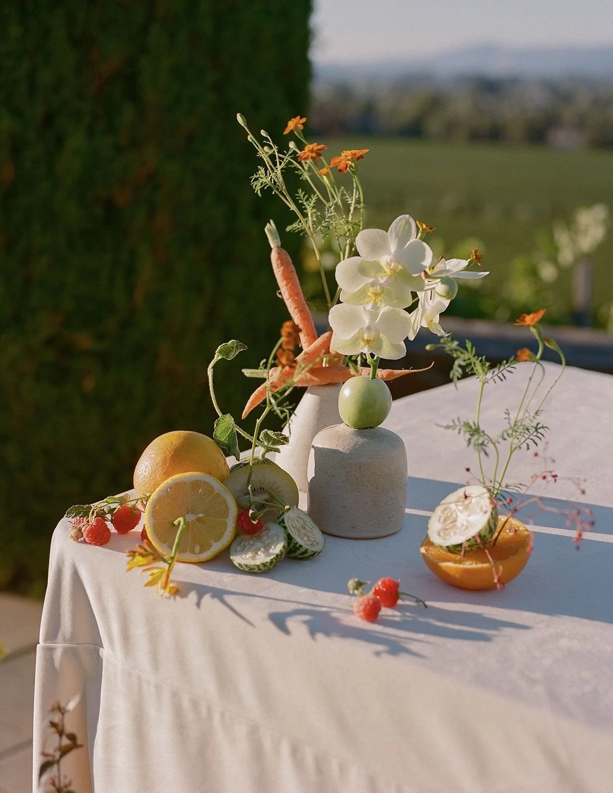 A still life arrangement of fruits and flowers on a white tablecloth, with a blurred landscape background. The arrangement includes lemon slices, raspberries, a green apple, carrots, white orchids, and small orange flowers in vases.