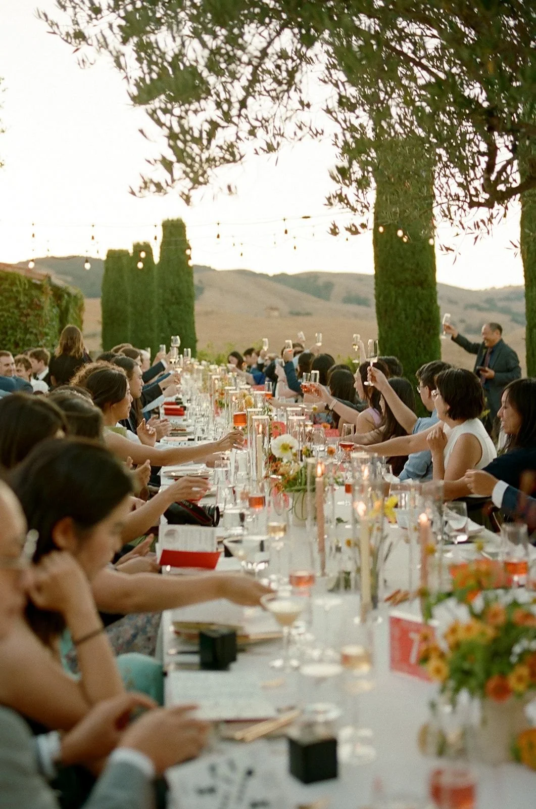Long outdoor dinner party with many guests raising glasses in toast, set against a scenic countryside backdrop with trees and rolling hills, festive string lights overhead, and a decorated table with flowers and candles.
