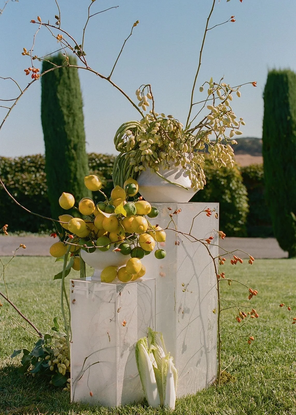 Outdoor floral arrangement featuring white bowls with green and yellow vines and berries, set on white pedestals with grass and trees in the background