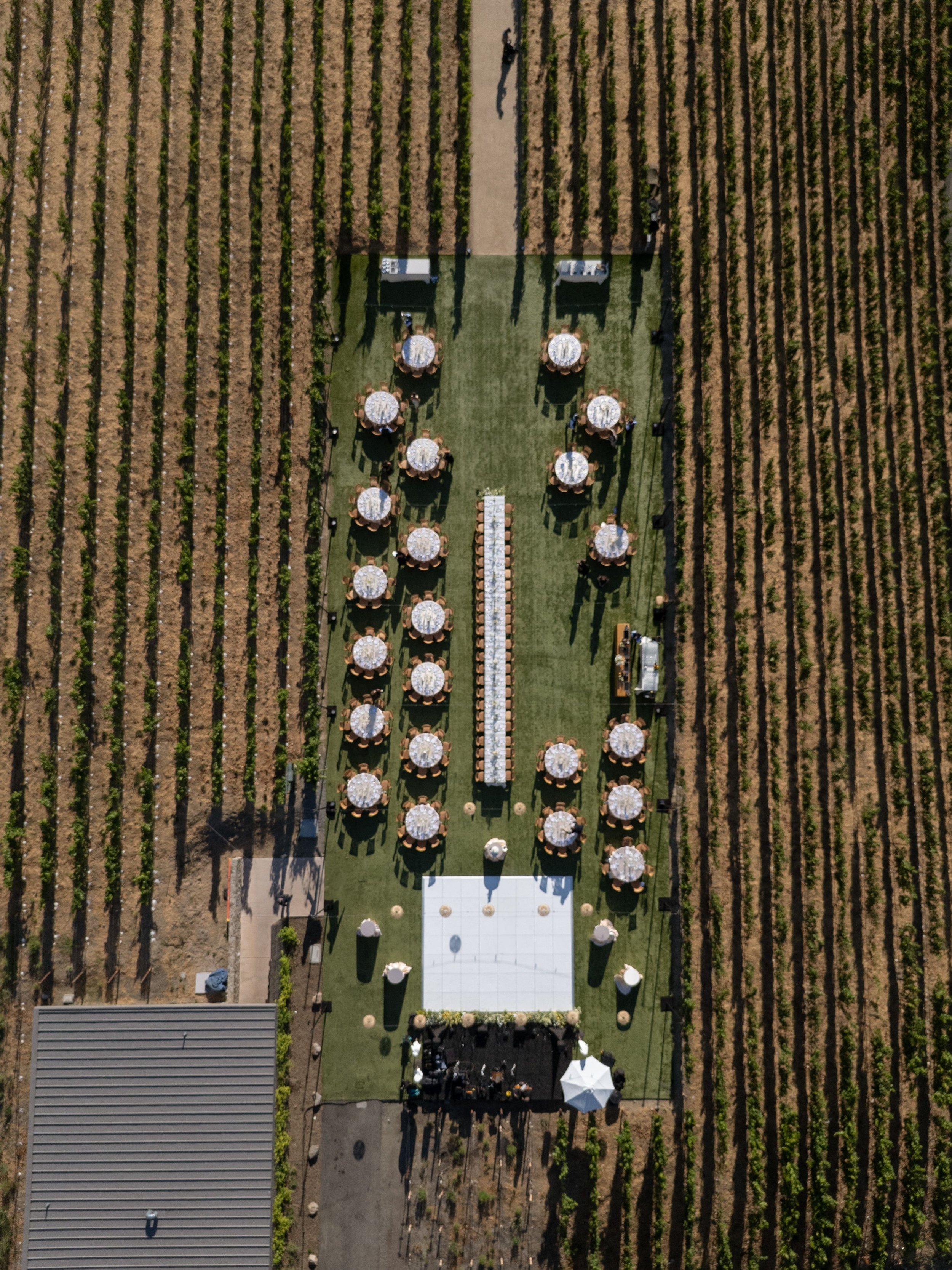 An outdoor event setup on a grassy area between rows of vineyard rows, with round tables covered with white tablecloths and surrounded by chairs. There is a white tent at the bottom of the setup, and some equipment and umbrellas nearby.