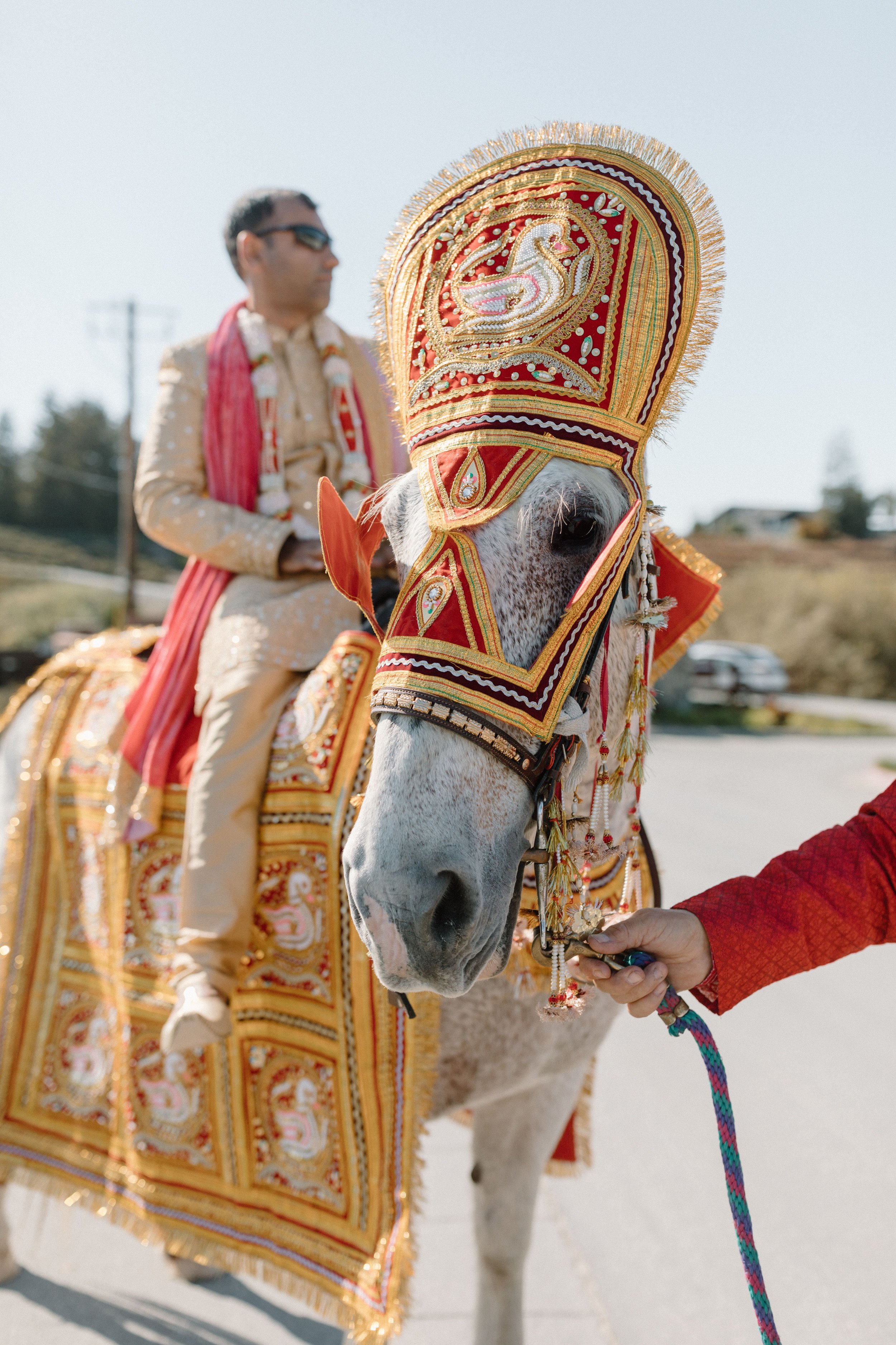 A man dressed in traditional Indian wedding attire riding a decorated white horse with an ornate headpiece, and a person holding the horse's reins.