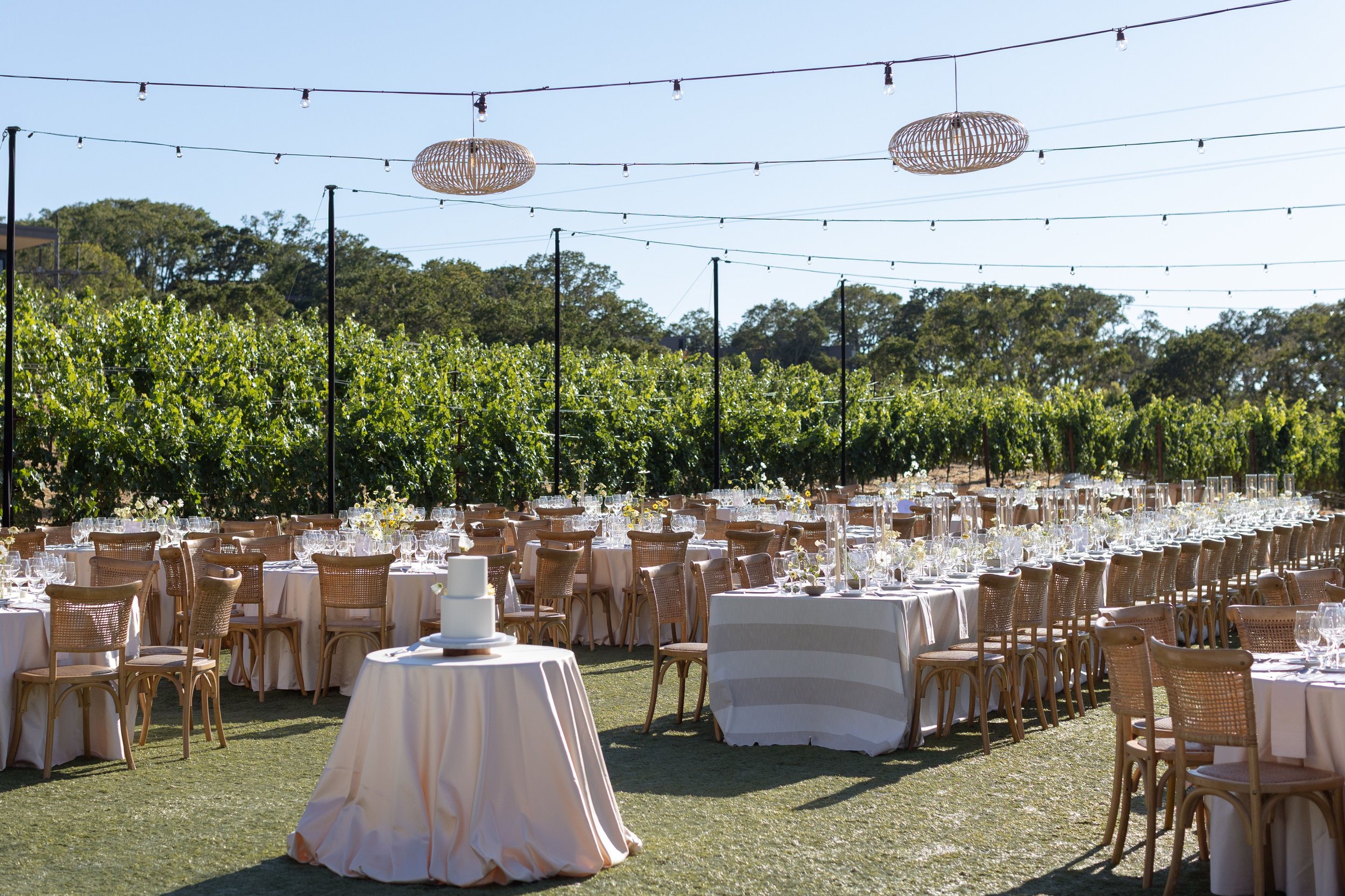 Outdoor event setup with long tables covered in white tablecloths, surrounded by wicker chairs, set with glassware and centerpieces, under string lights and hanging wicker lanterns, with vineyard and trees in the background on a clear day.