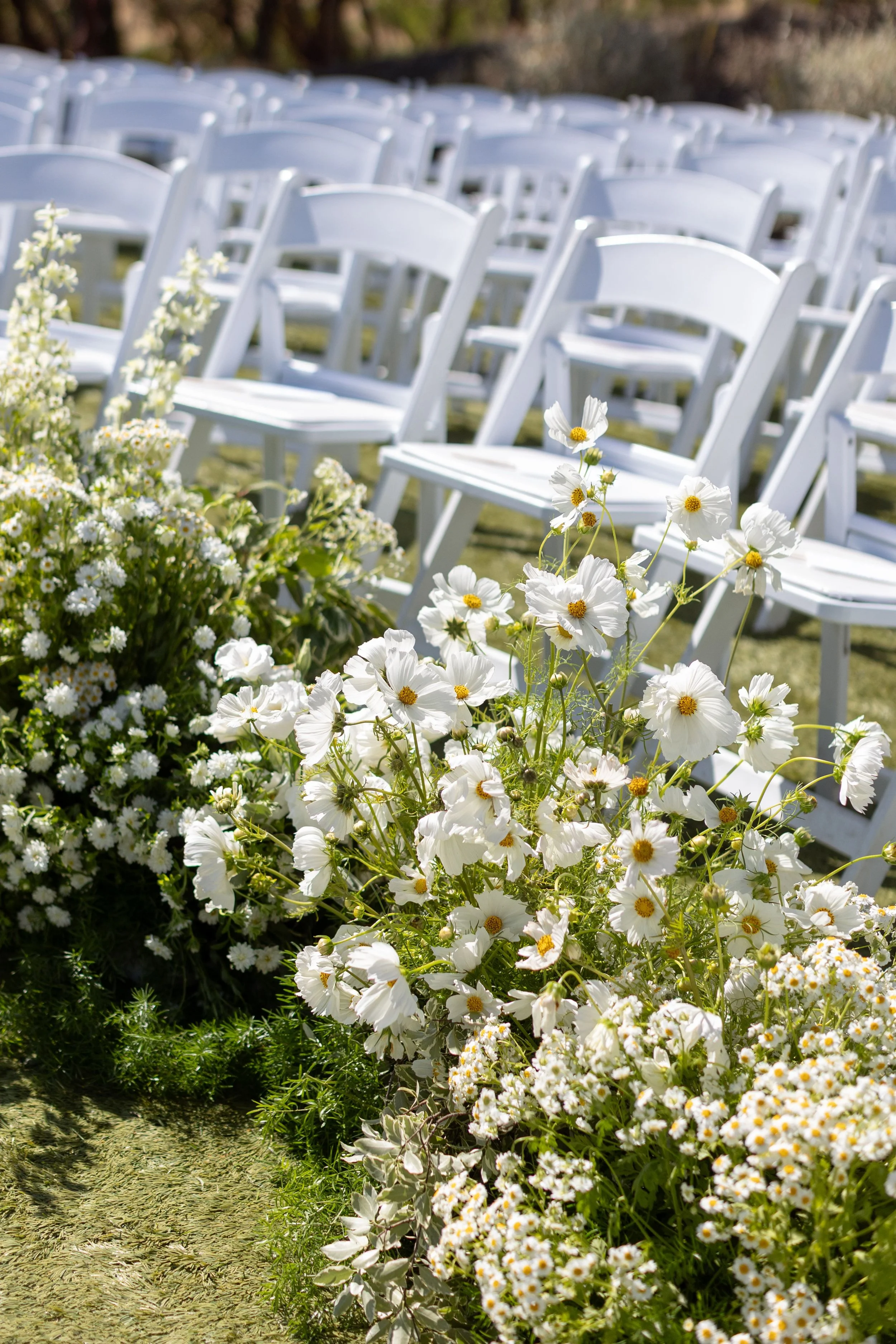 White chairs arranged outdoors with white and yellow flowers in the foreground, possibly set up for a wedding or outdoor event.