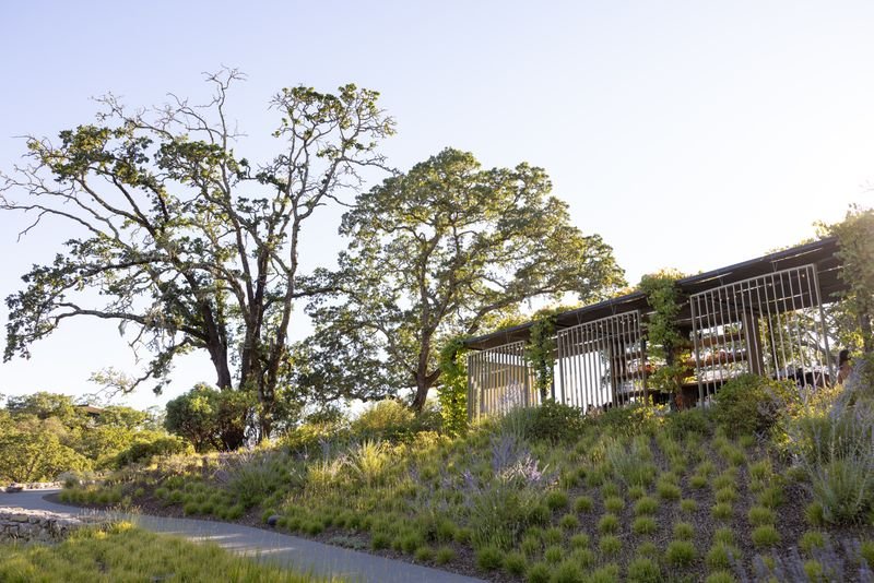 A landscaped garden with tall trees, shrubs, and purple flowering plants, with a building featuring metal bars on the right side.
