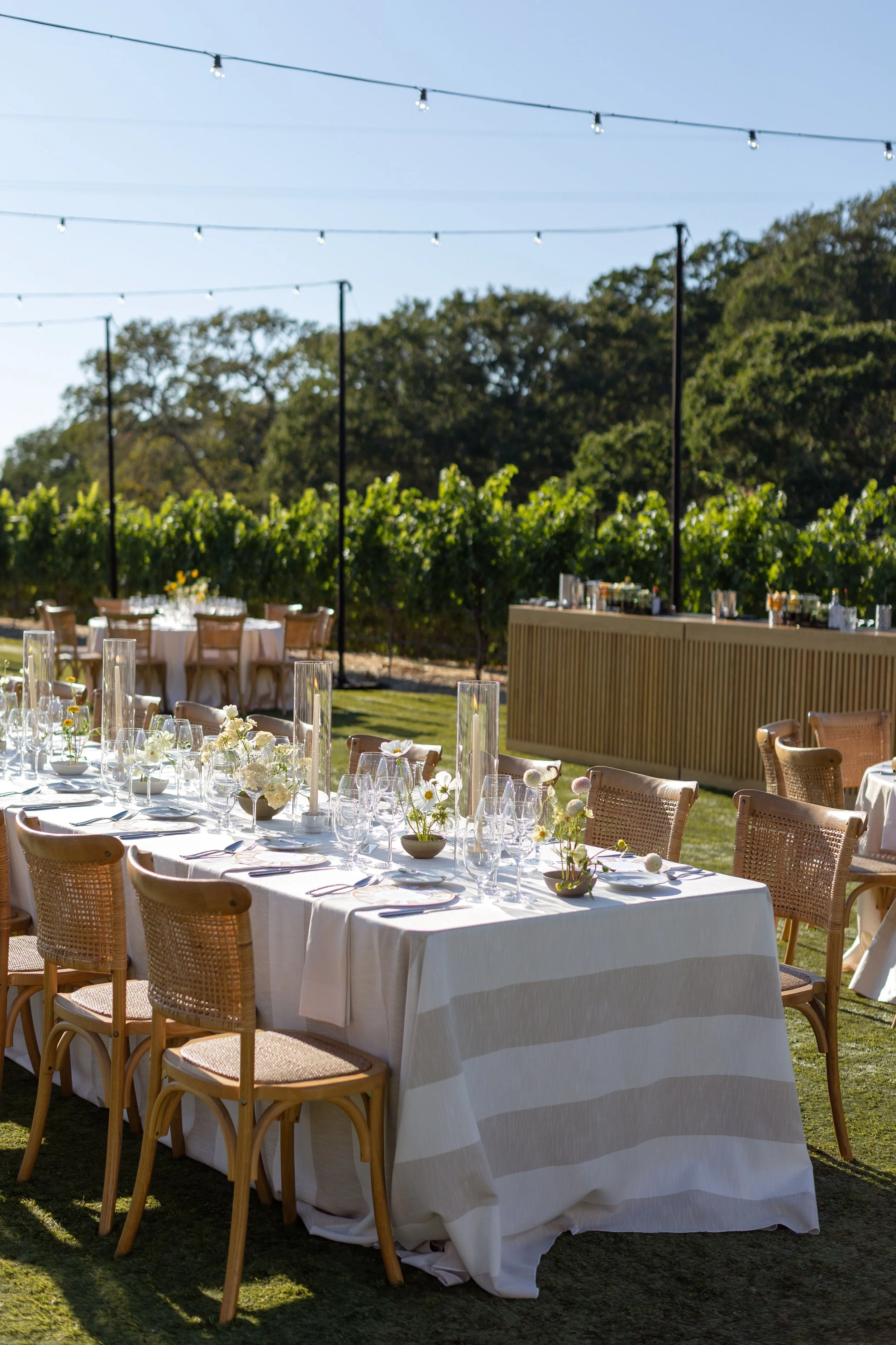 Outdoor event setup with long white tablecloth-covered tables with glassware, floral centerpieces, and wicker chairs, set in a grassy area with string lights overhead and green trees in the background.