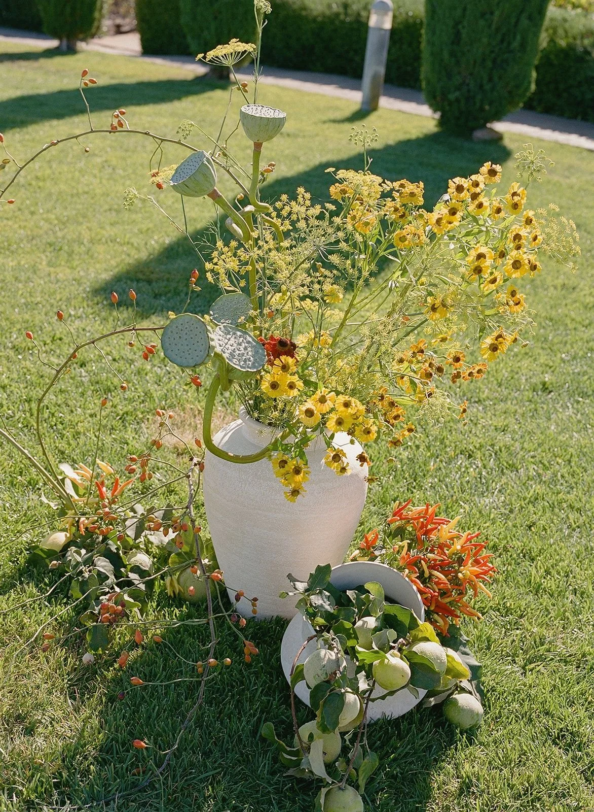A white vase containing a variety of wildflowers, including yellow flowers, and cactus plants, placed on green grass in a garden with a hedge and pathway in the background.