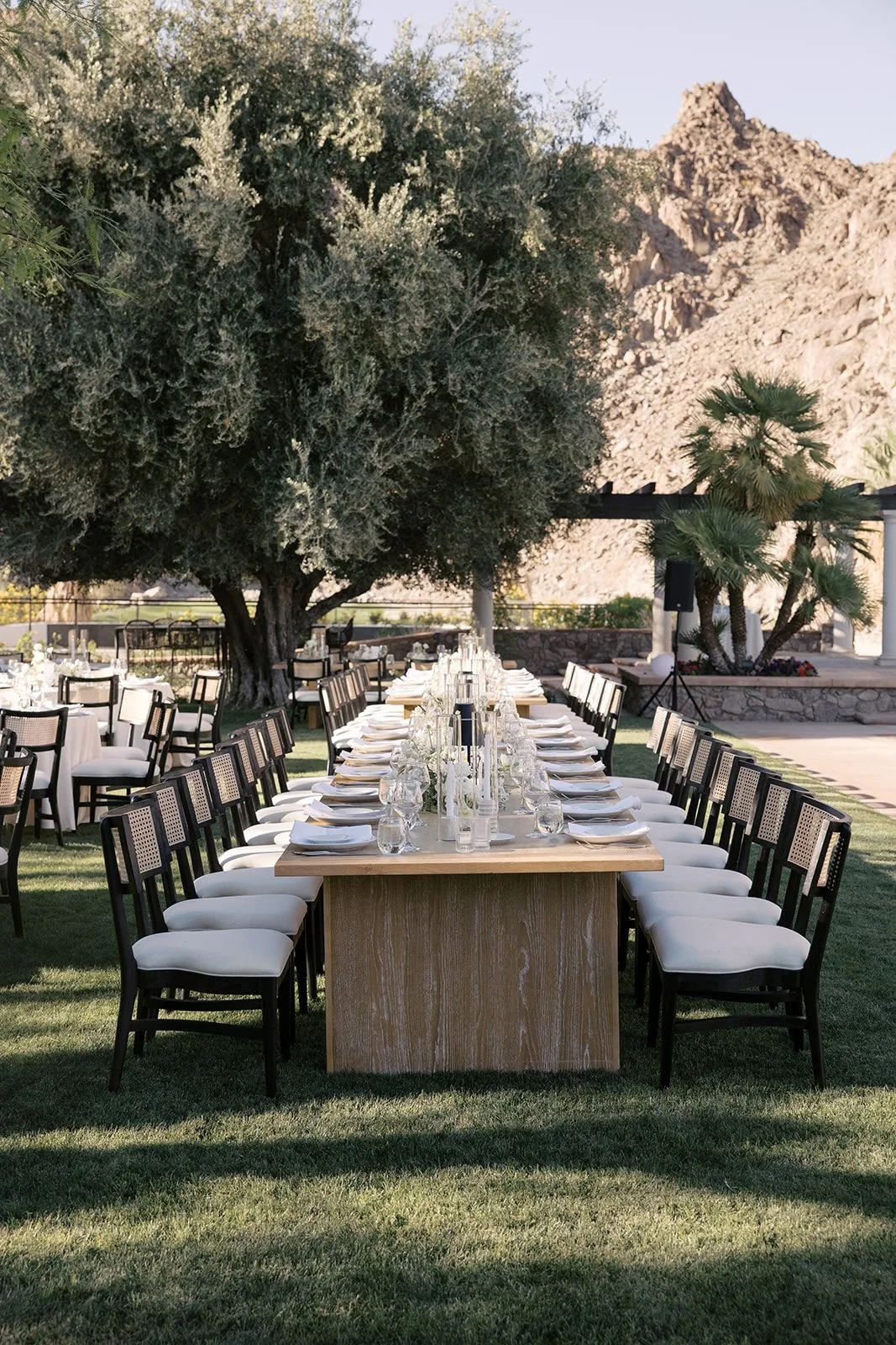 Outdoor dining setup with a long wooden table, white chairs, and glassware under a large tree, with desert mountains in the background.