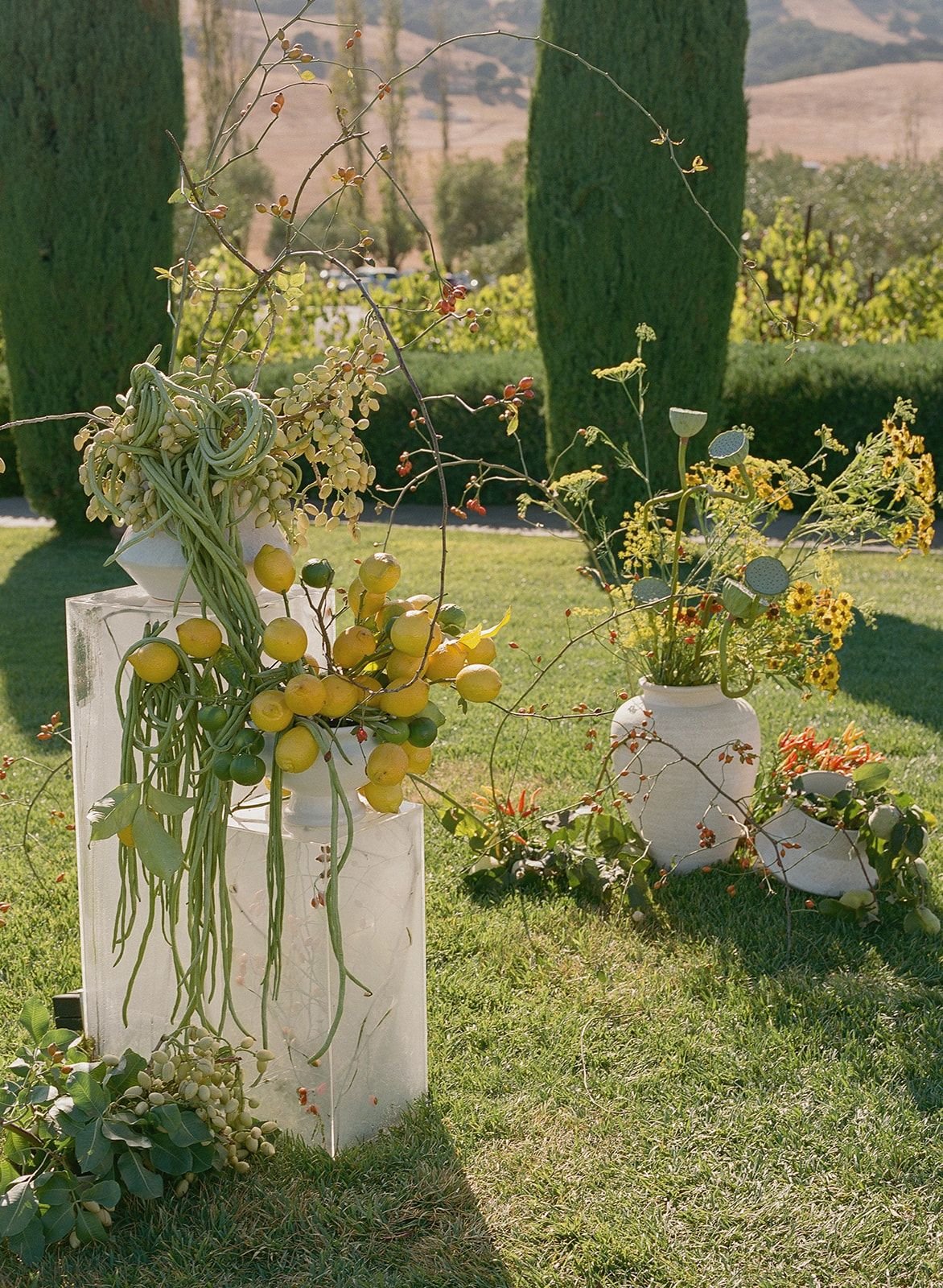 Vases with floral arrangements and decorative plants outdoors on grass, with trees and hills in the background.