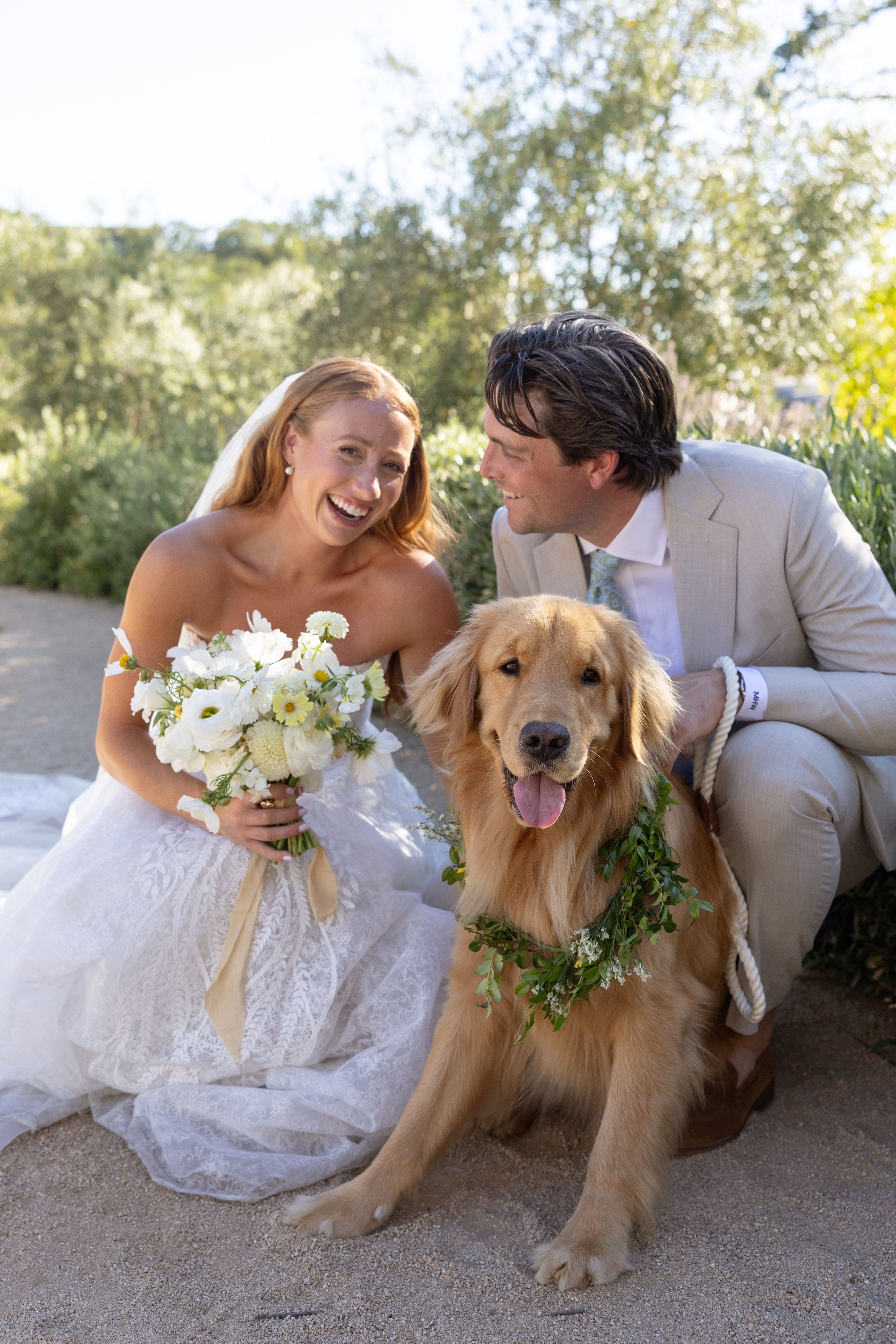A newly married couple in wedding attire, sitting outdoors on a sunny day with a golden retriever dog. The bride holds a bouquet of white and yellow flowers, and the couple looks at each other happily near greenery in the background.