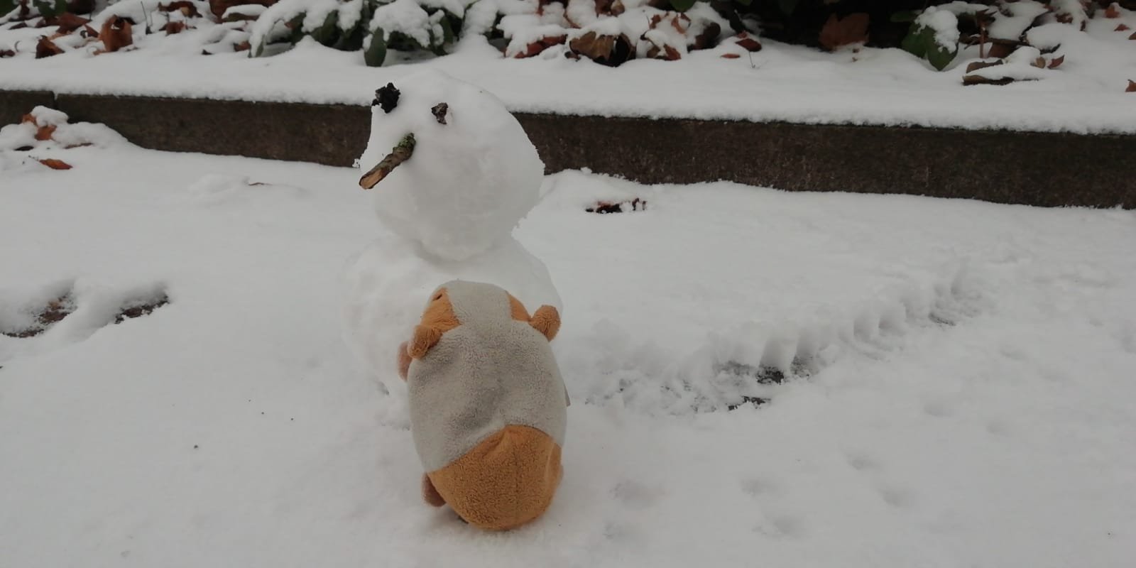 Hammy_snowman.jpeg