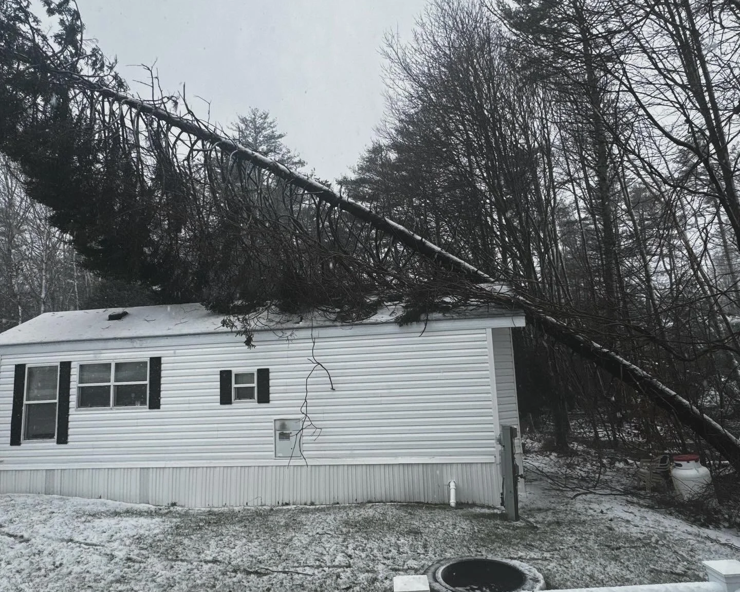 A tree on a park model home in york maine removed by taylor tree servicein 2024