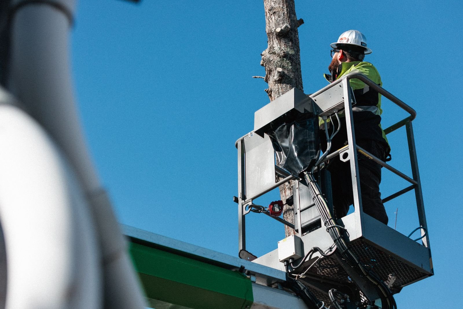 Brendan, the owner of Taylor Tree Service, is on a nifty 55 foot lift preparing to trim a maple tree.