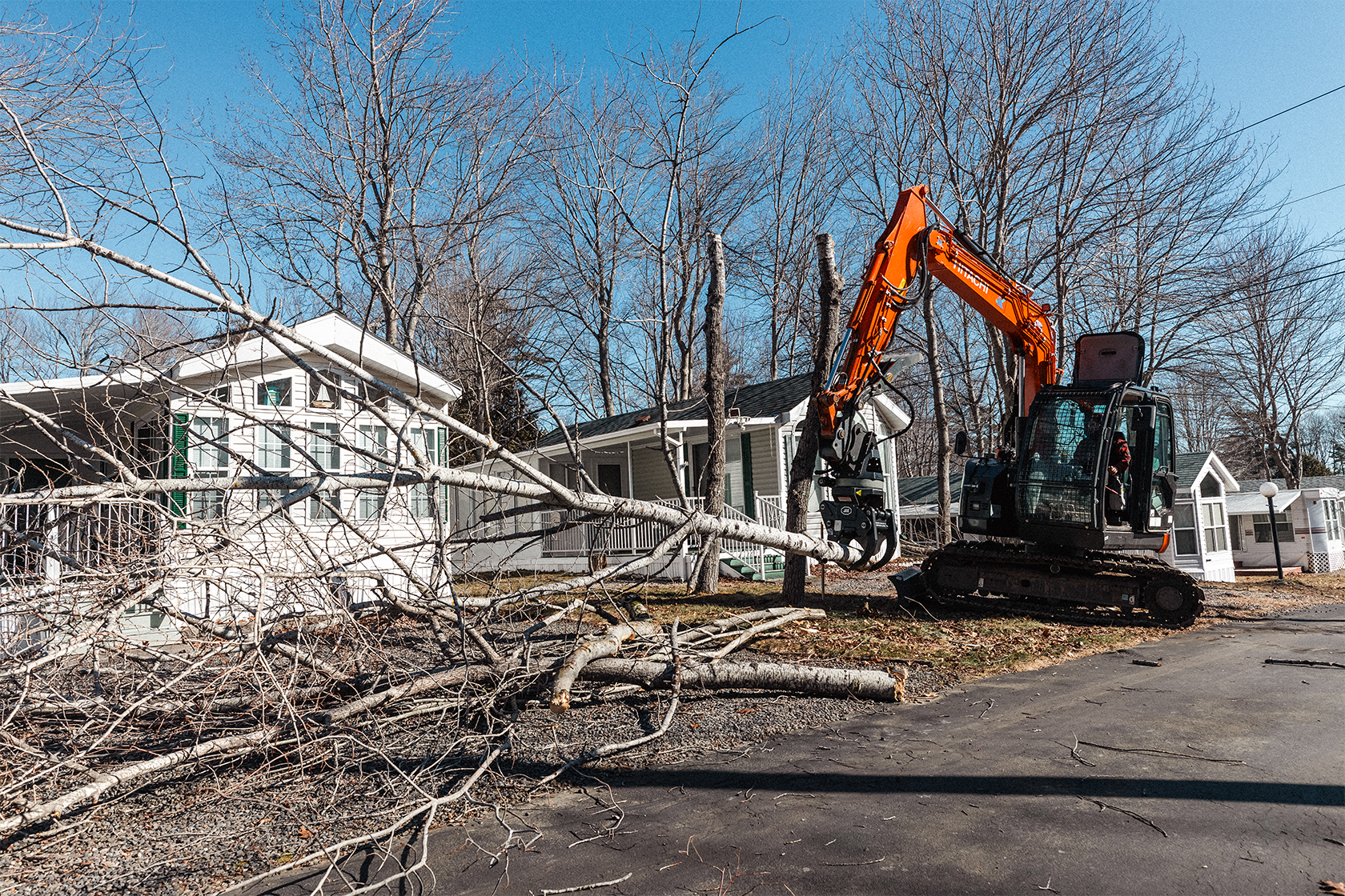 A small excavator is cutting down a tree in a residential neighborhood with houses and leafless trees under a clear blue sky.