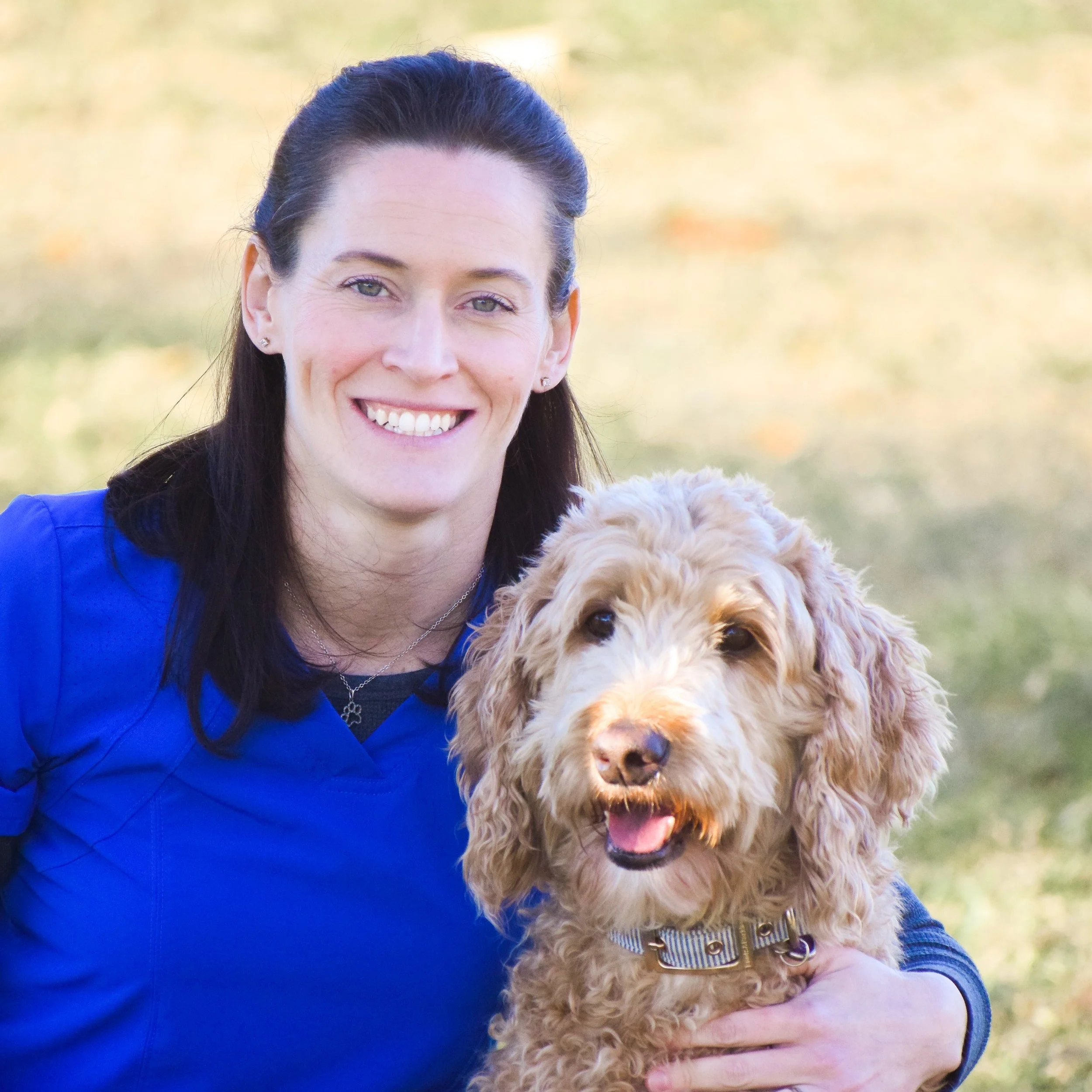 Meet the Team at WCVC — West Coast Veterinary Center