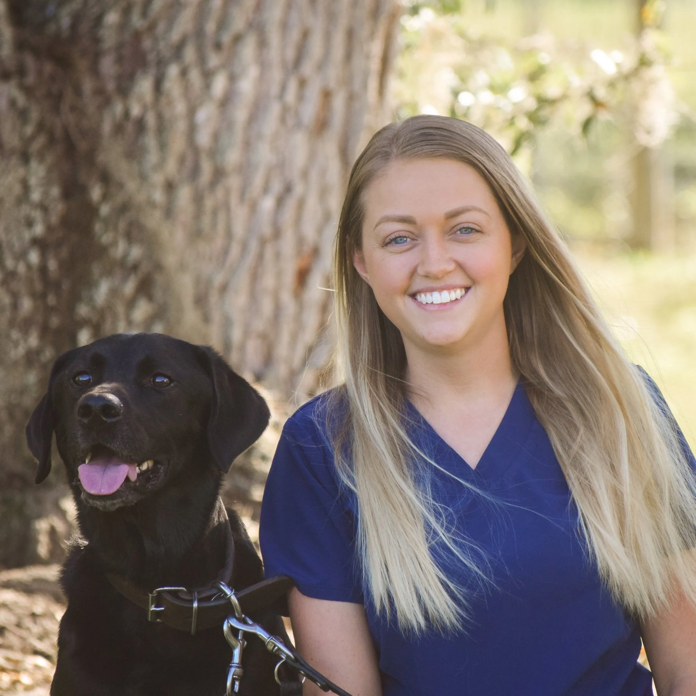 Meet The Team At WCVC West Coast Veterinary Center
