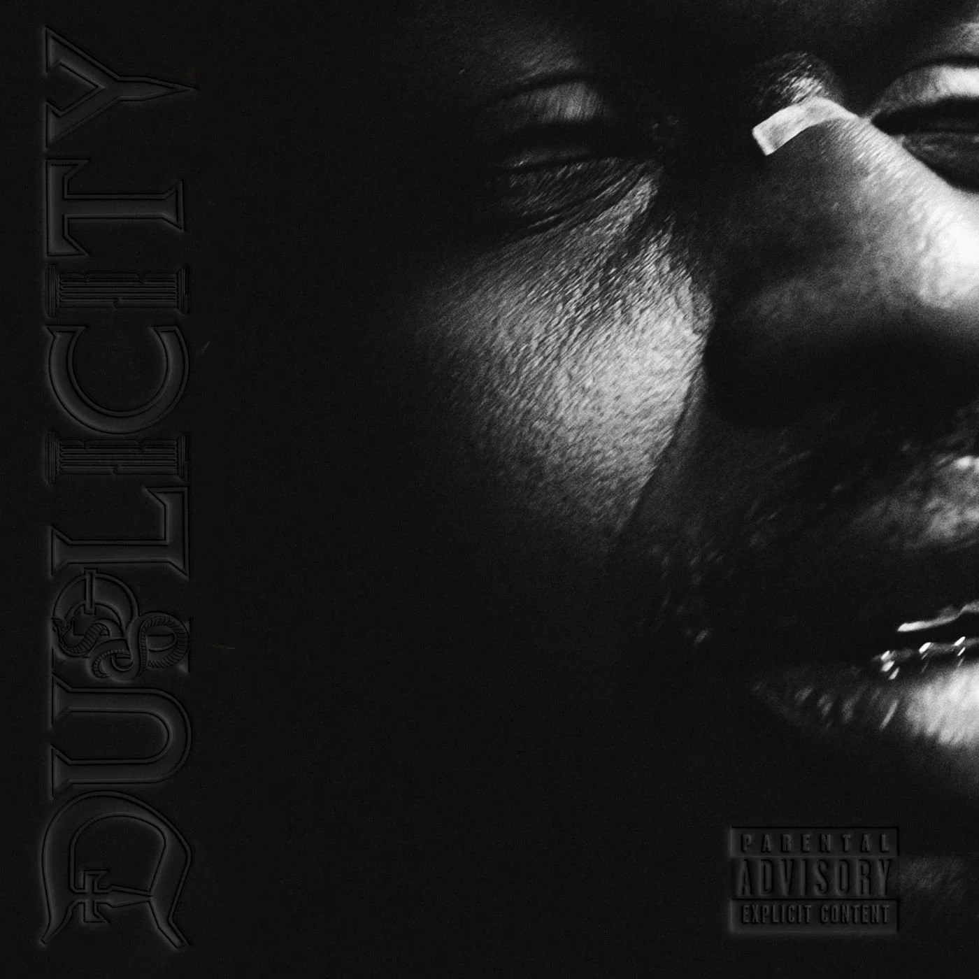 "Duplicity" album front cover