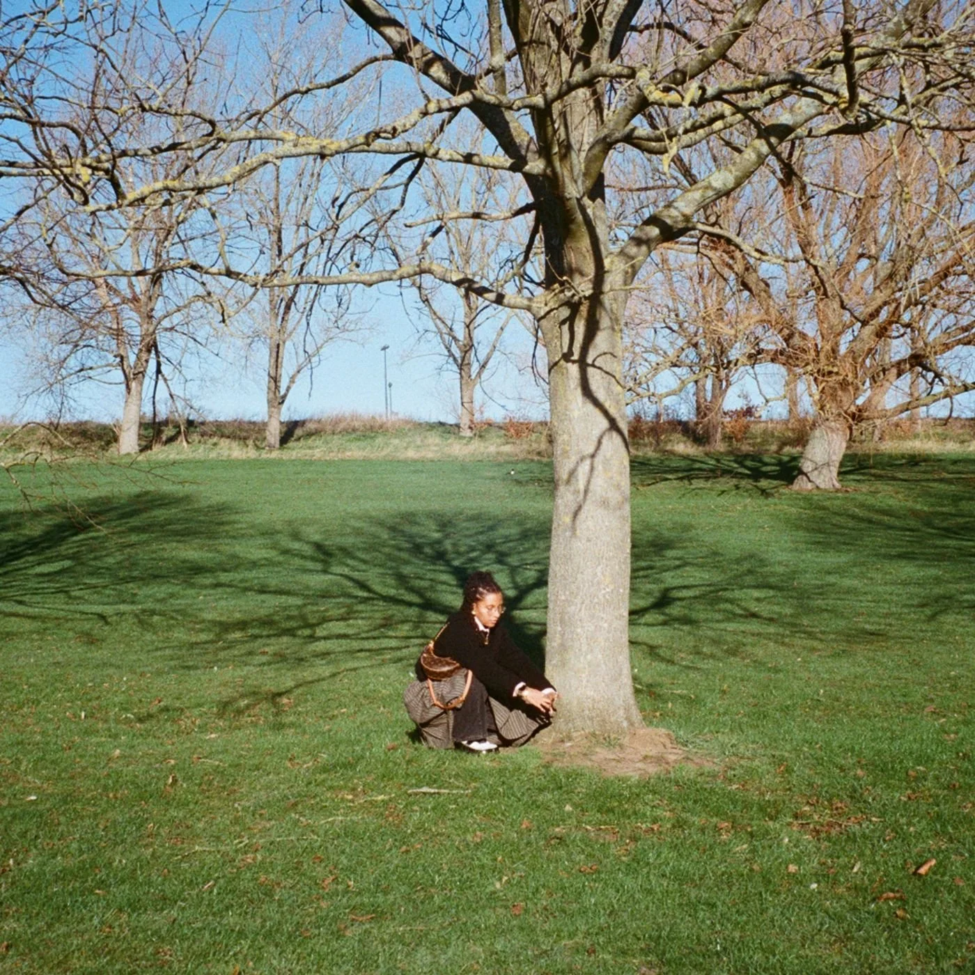 "i asked the stars for this. X" album cover