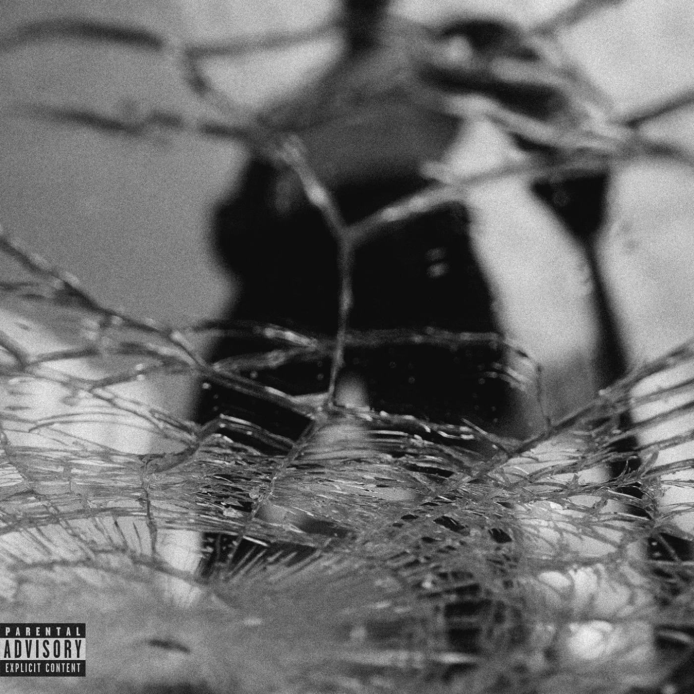 Potter Payper "FWM" single cover