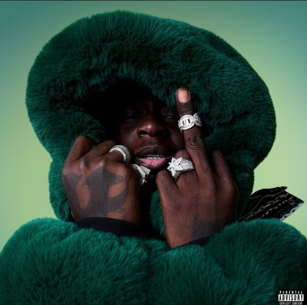Live In The Flesh by BackRoad Gee album cover art, artist wearing a green fluffy hooded jacket with diamond rings and grillz against a green gradient background
