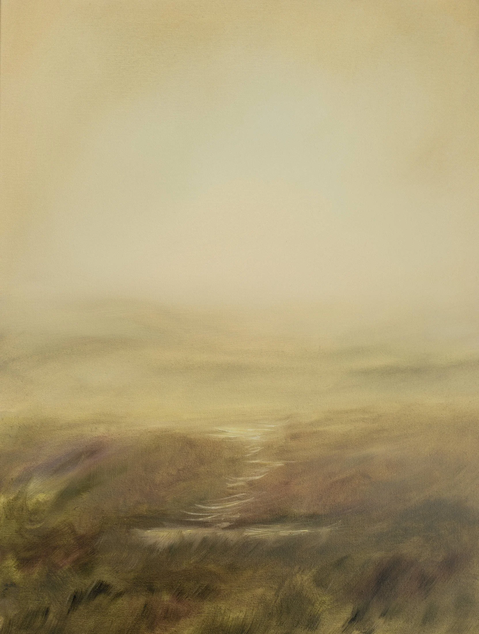 Sunday Fields no. 2_WebOptimized.jpg