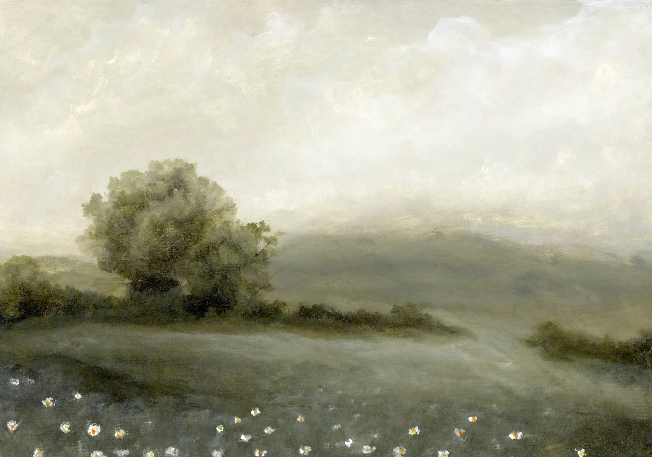 Daisy Fields No. 3_WebOptimized.jpg