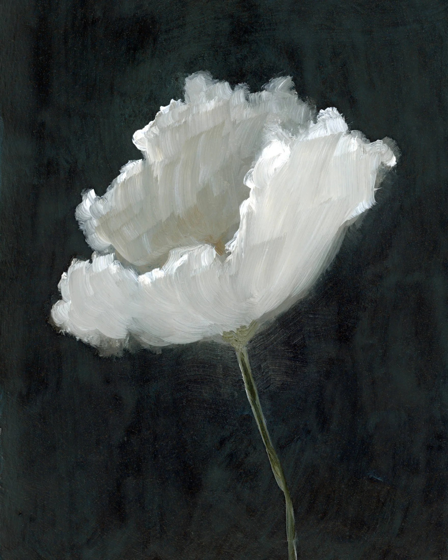 Delicates No. 2 8x10 Final_WebOptimized.jpg