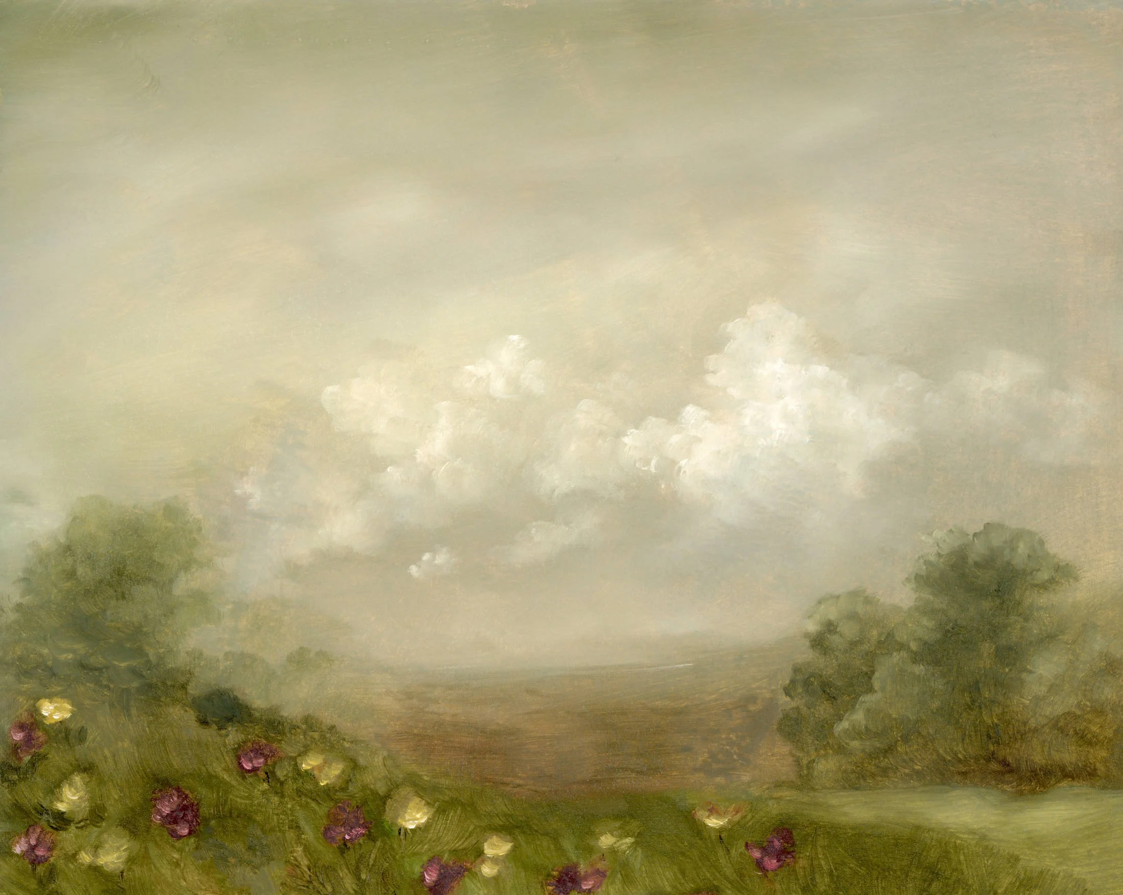 Poppies copy_WebOptimized.jpg