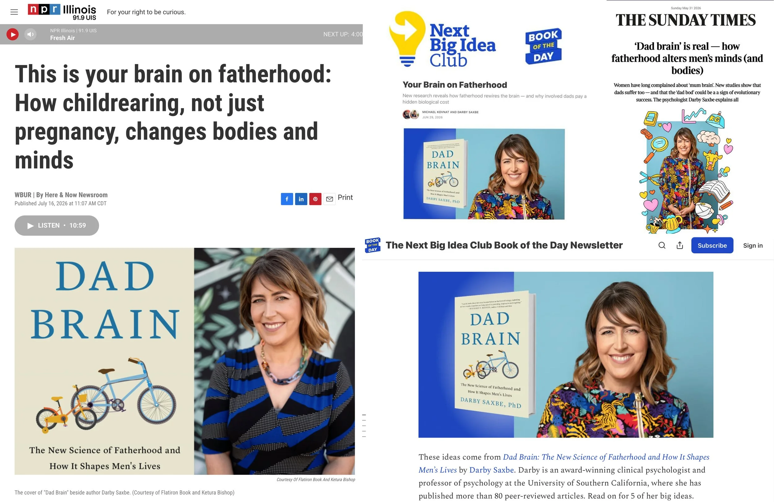Screenshots of press for Dad Brain, including an article about the fatherhood brain, a Next Big Idea Club feature, and a Sunday Times page, all featuring photos of Darby Saxbe.