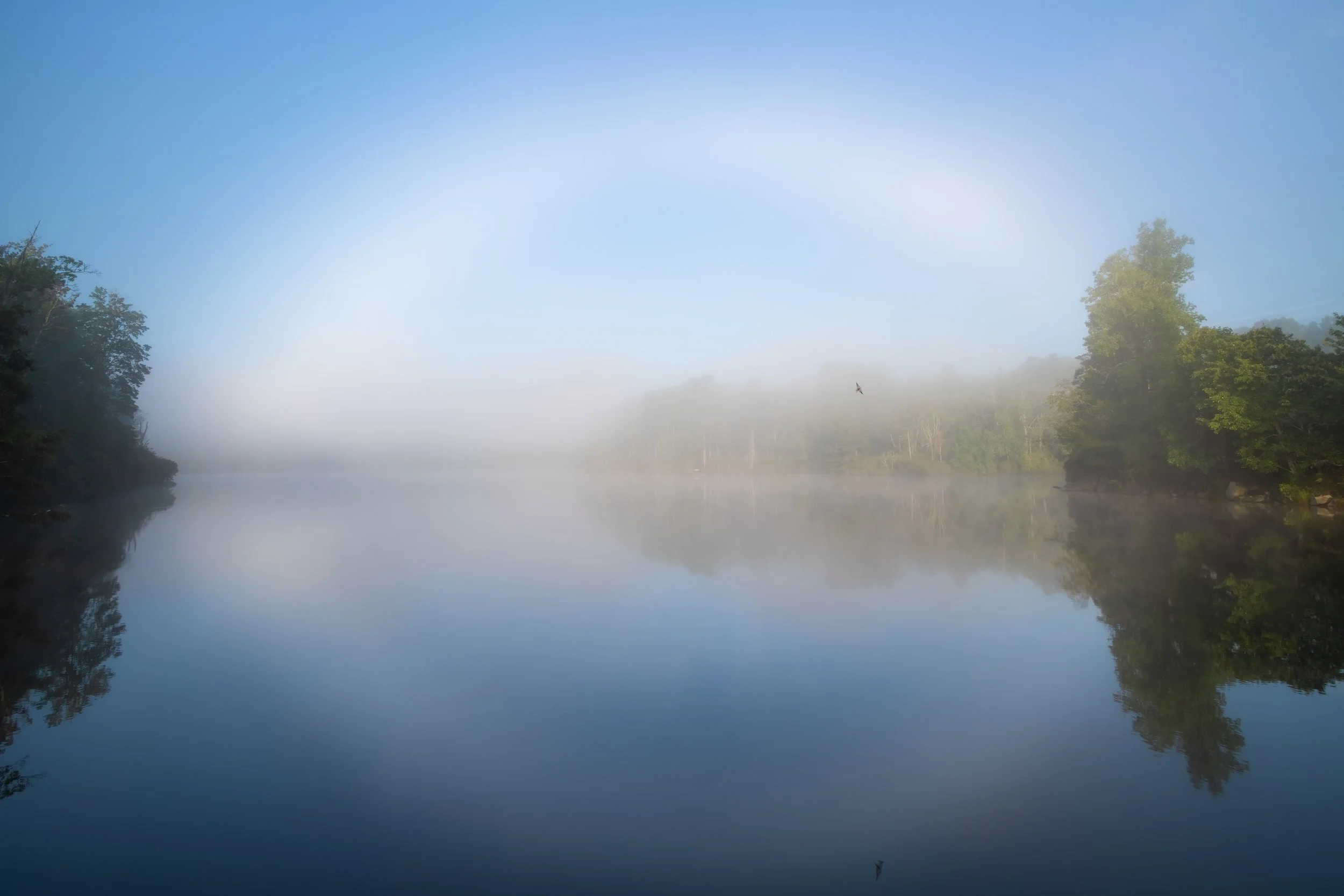 Price Lake fogbow_1.jpg