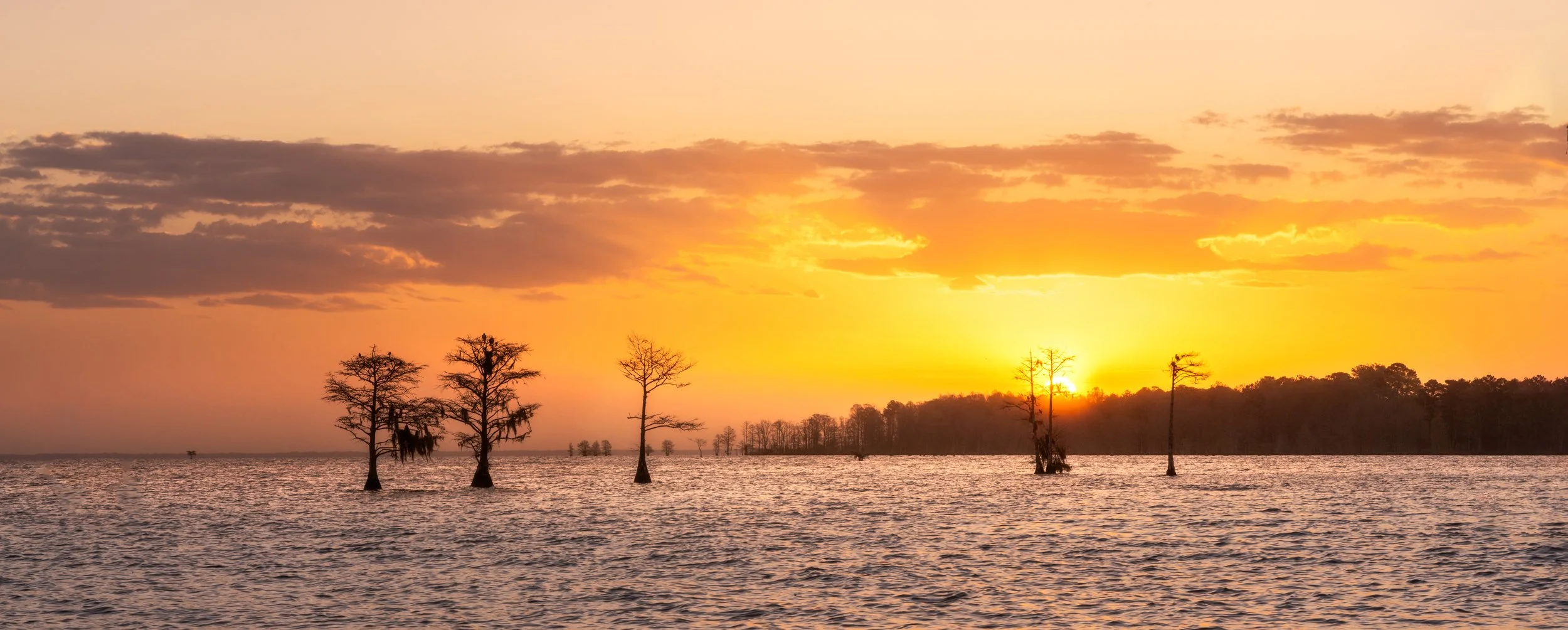 Moultrie Morning Glow_1w.jpg