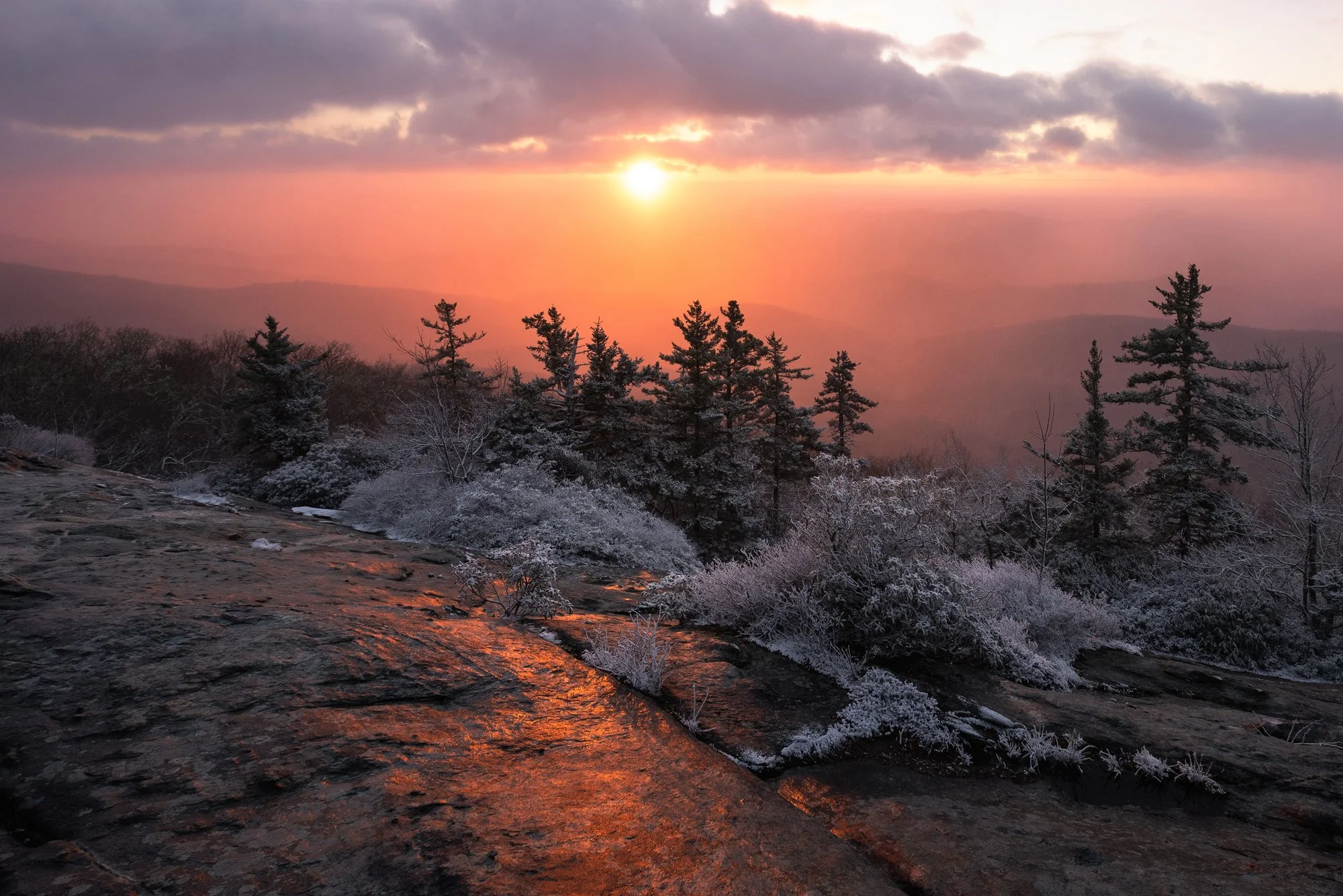 Winter warmth_1w.jpg