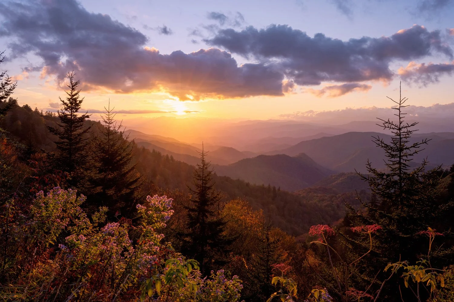 Woollyback Sunset_2w.jpg