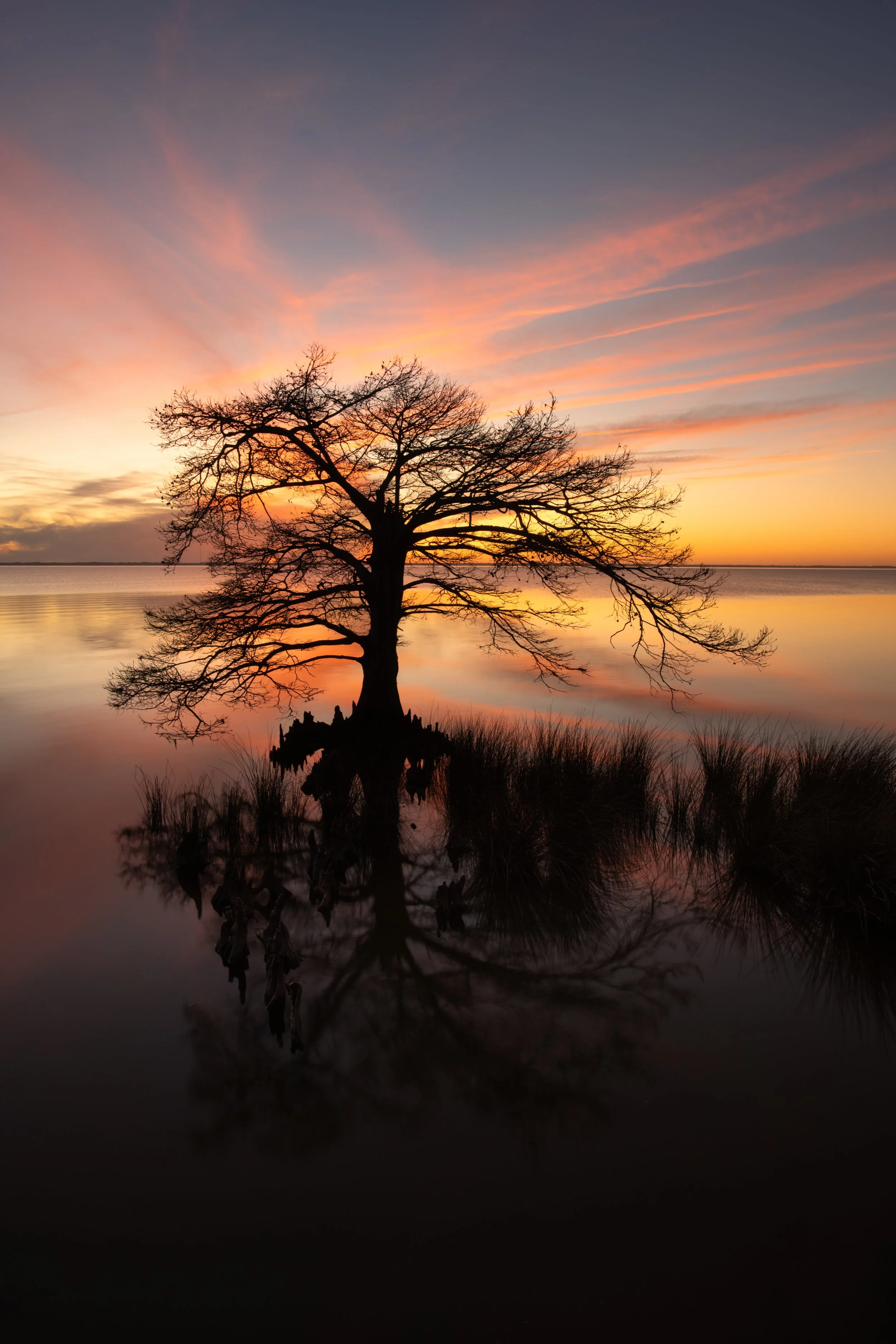 Little Cypress Sunset_Duck_1.jpg