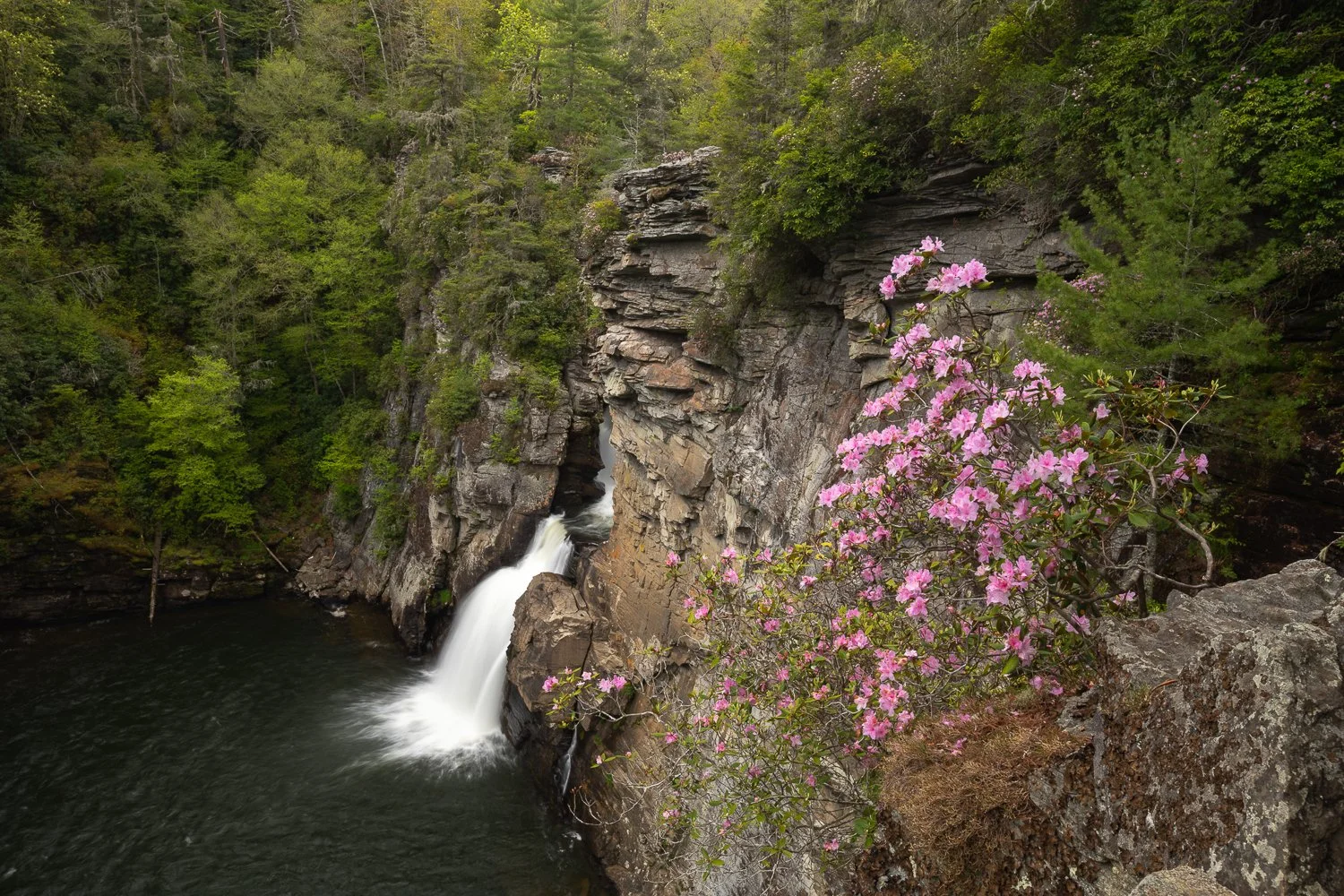 _DSC1090.jpg