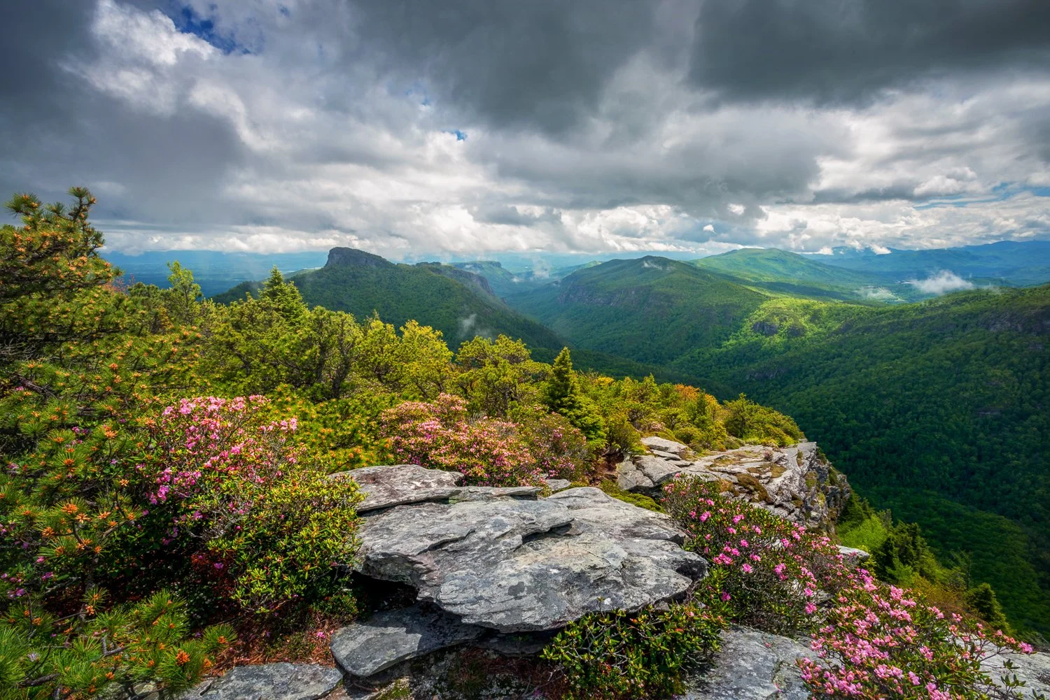 Hawksbill Spring_3.jpg