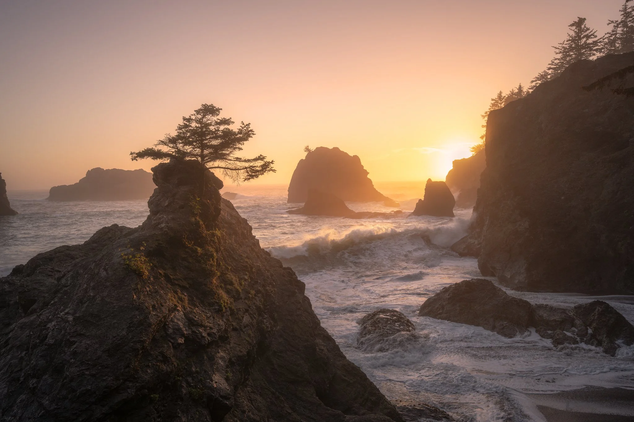 Southern Oregon Coast and Spring in the Redwoods with Mark Denney