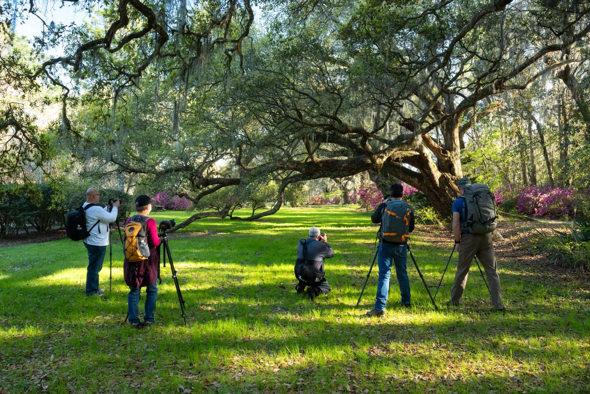 Charleston-Workshop-Spring-SC