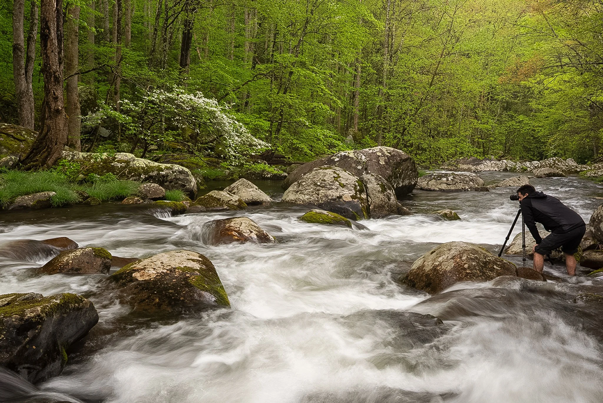 Great Smokies-Tremont-River-Mountains