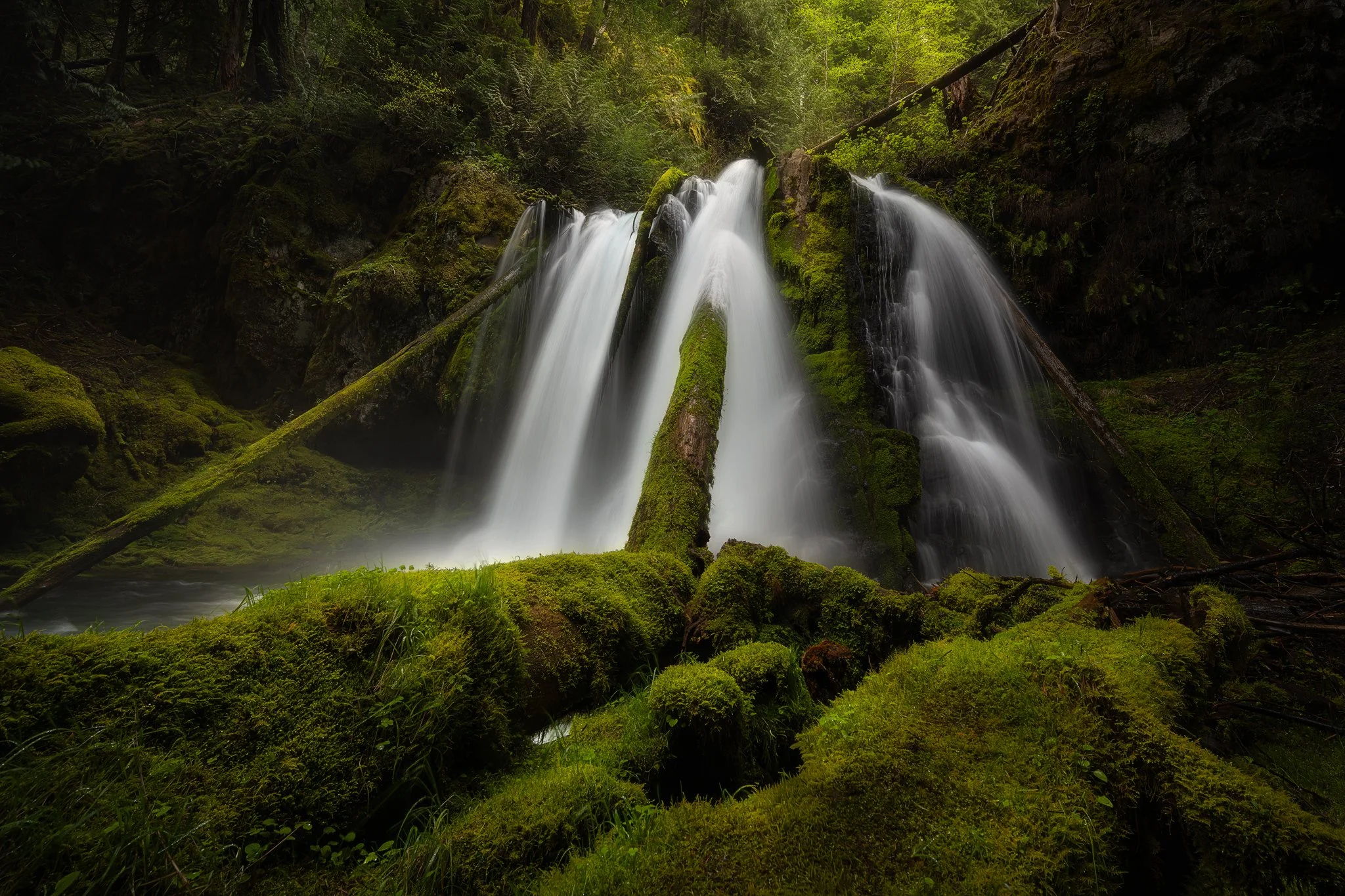Panther Creek Lower Falls_2w.jpg