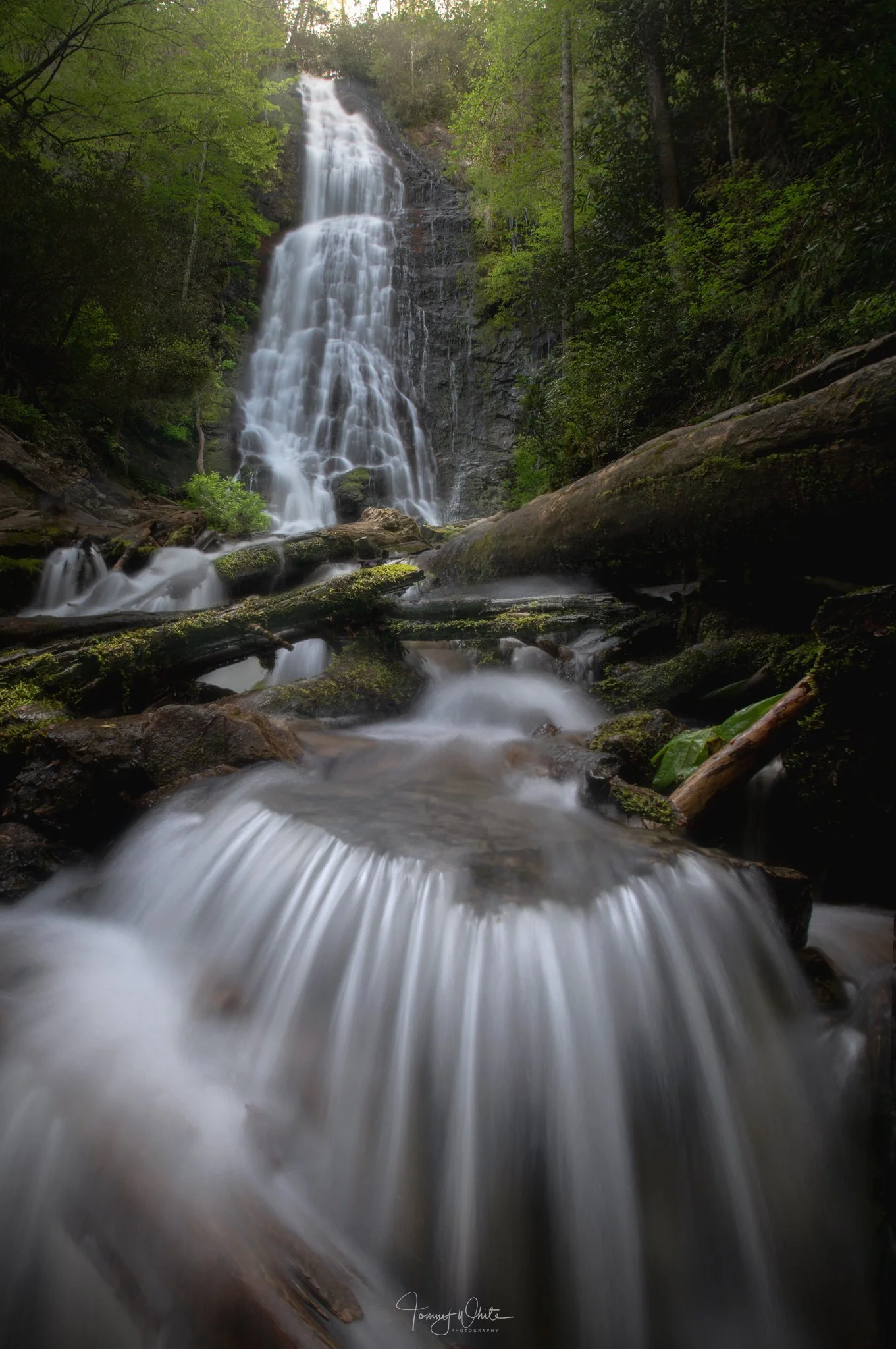 Mingo Spring Mist_1w.jpg