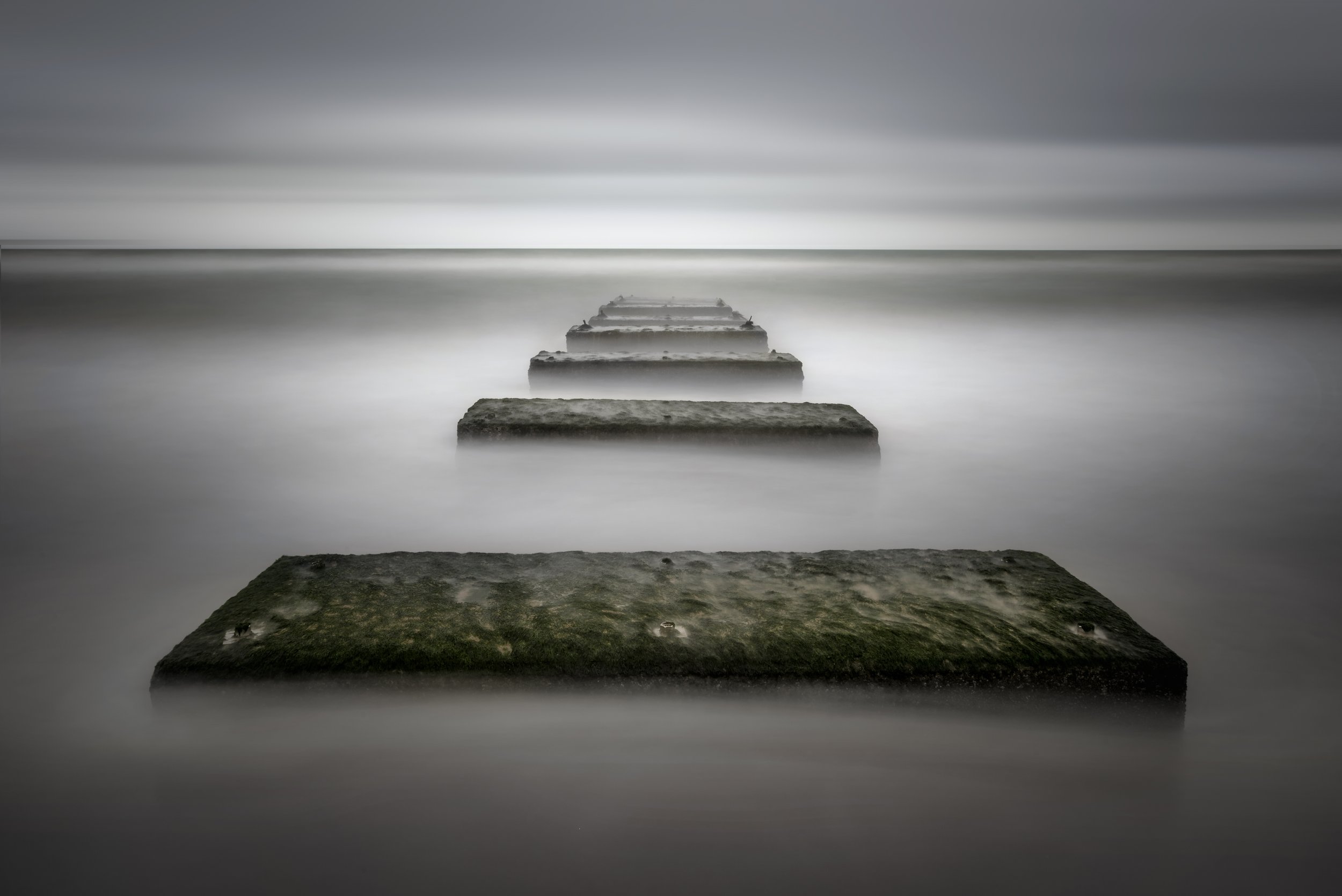 Planks_1.jpg